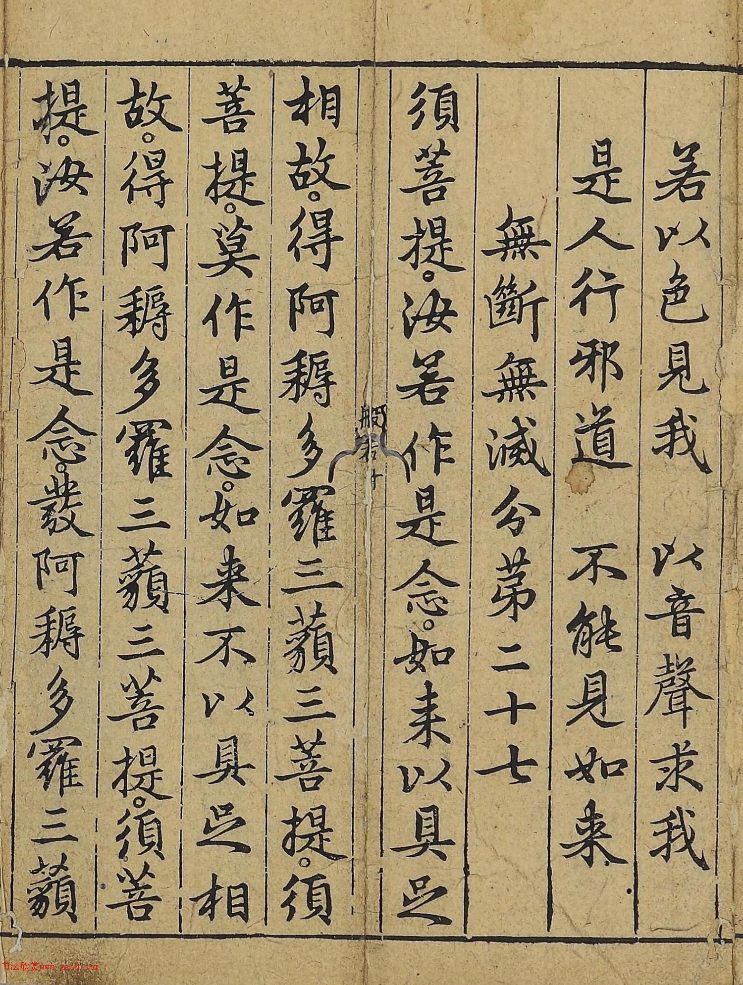 �����\�顶��վ����������걾