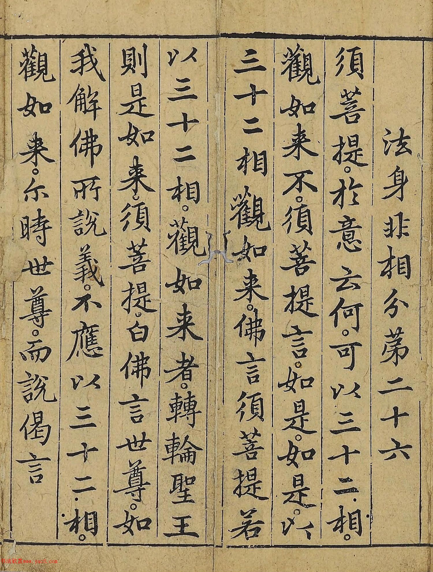 �����\�顶��վ����������걾