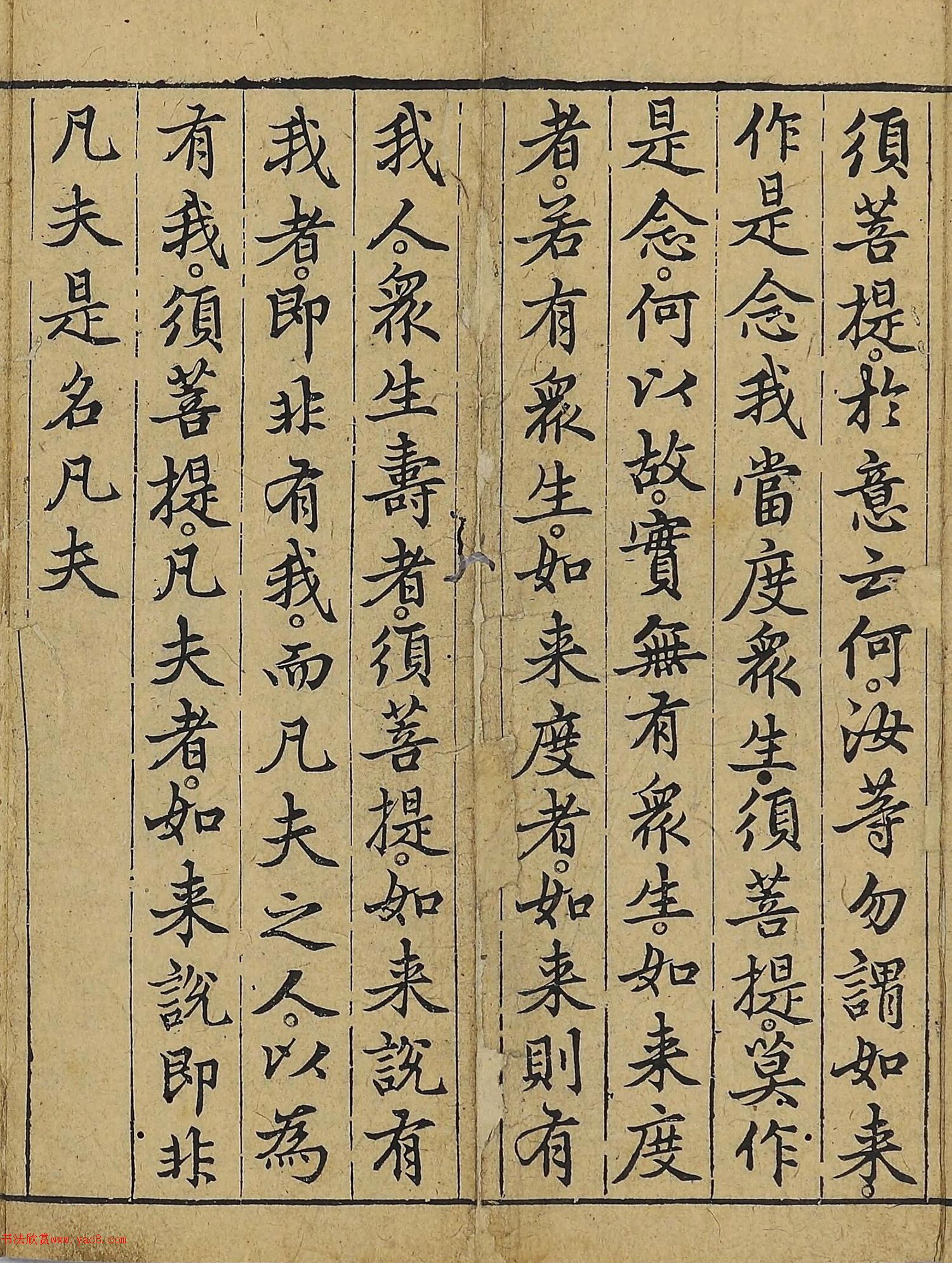 �����\�顶��վ����������걾