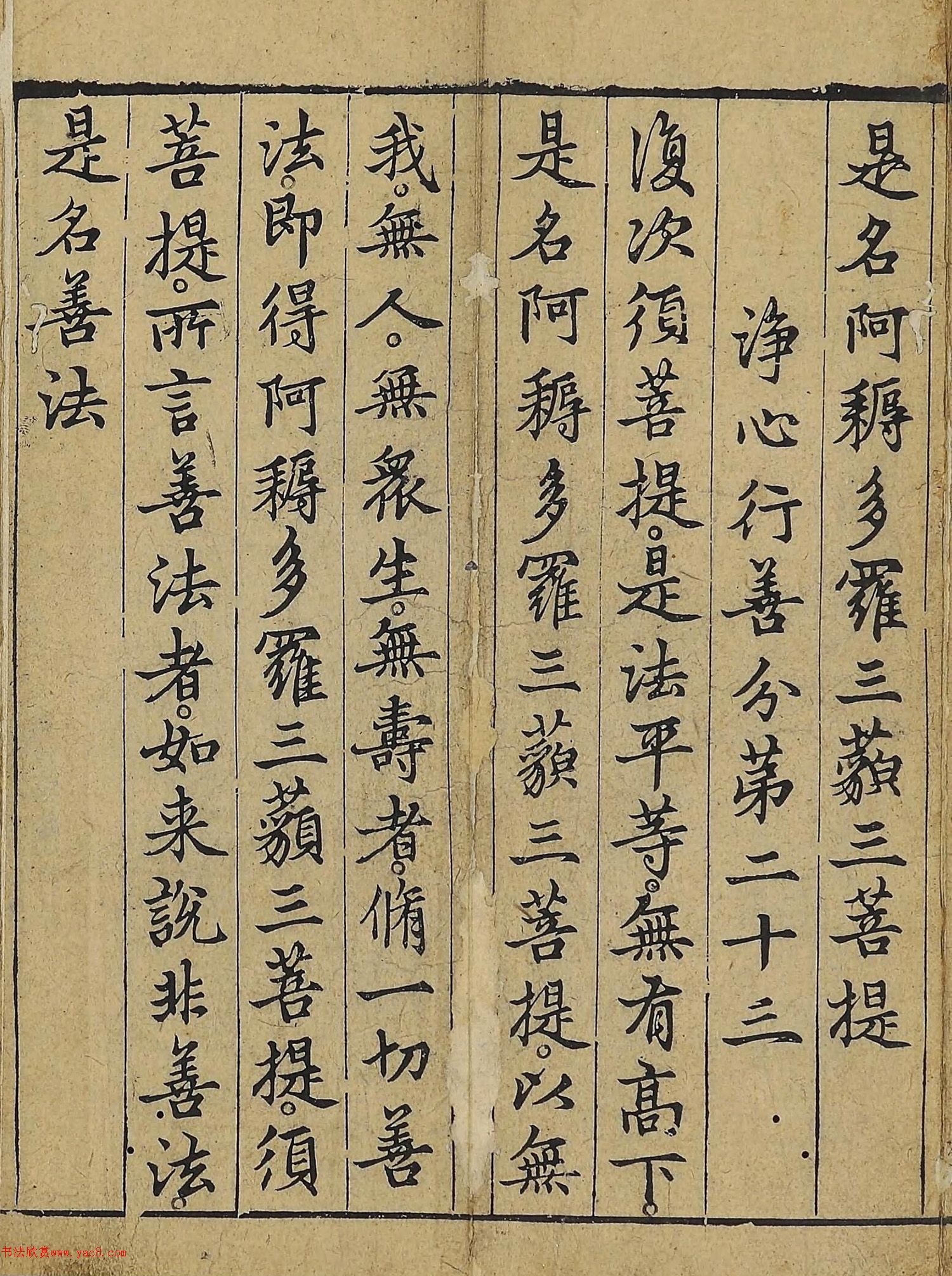 �����\�顶��վ����������걾