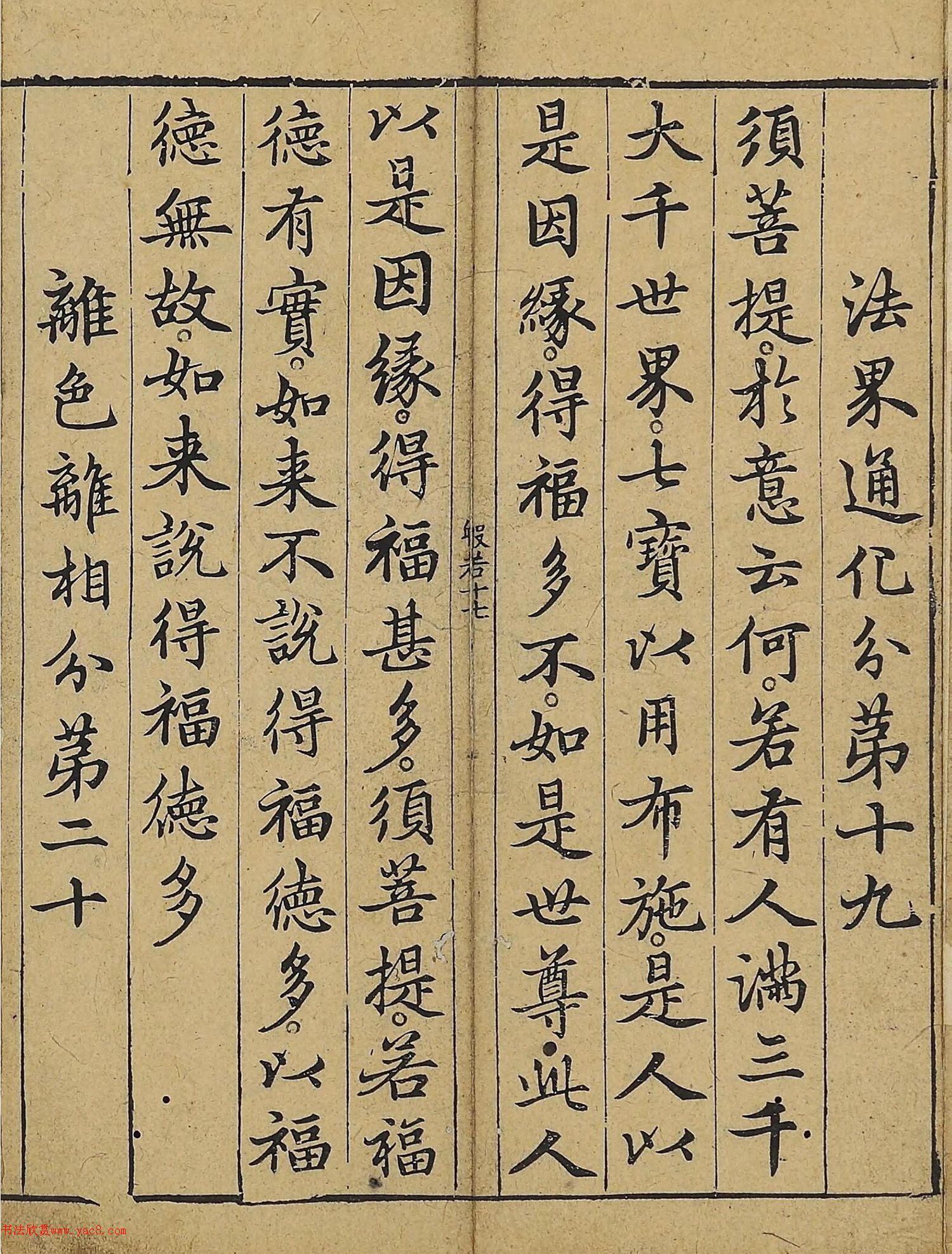 �����\�顶��վ����������걾