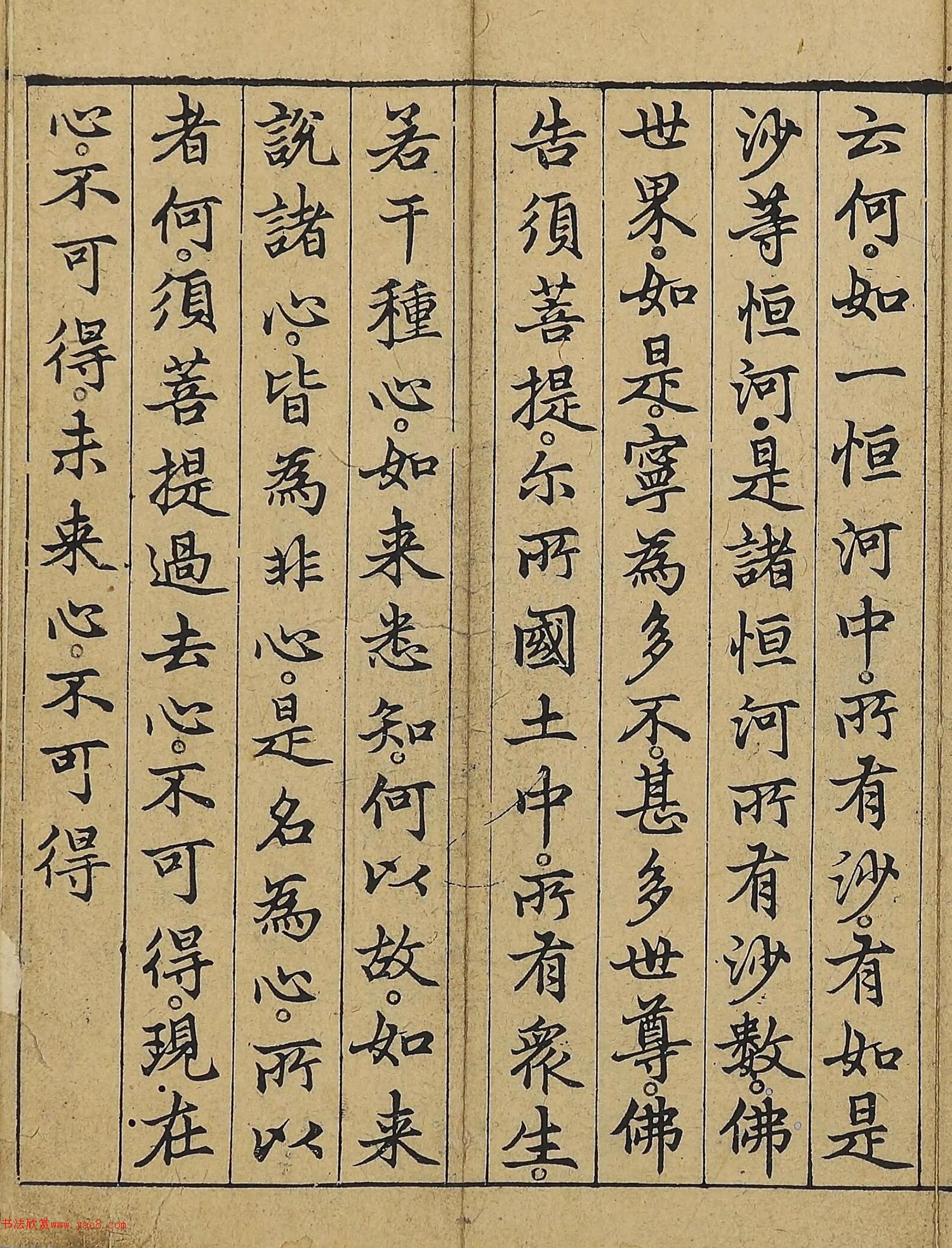 �����\�顶��վ����������걾