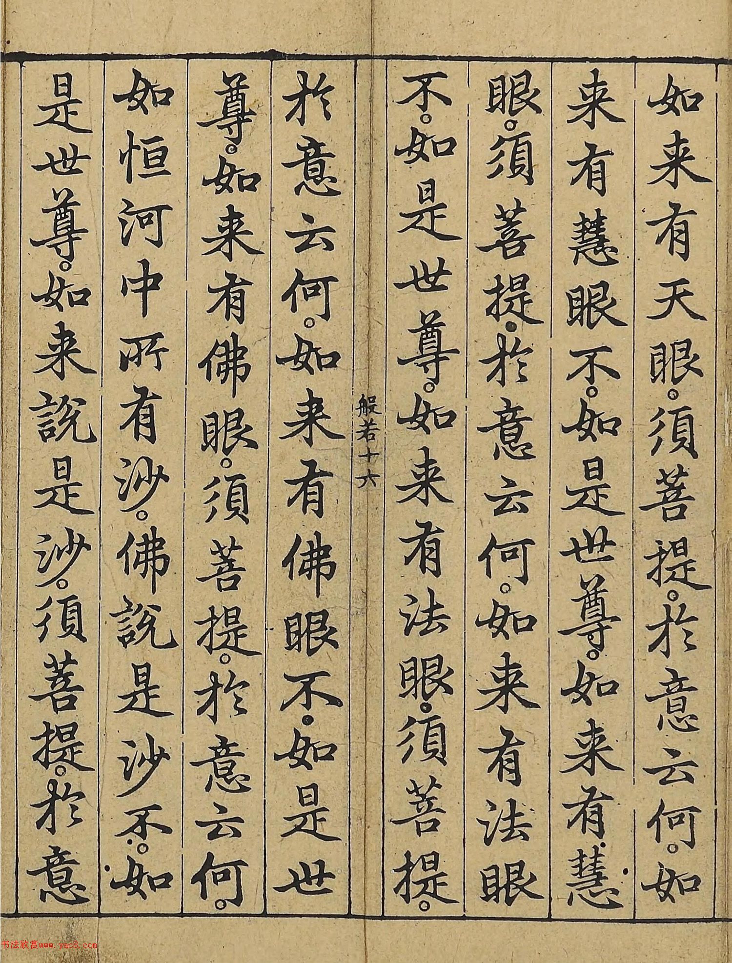 �����\�顶��վ����������걾