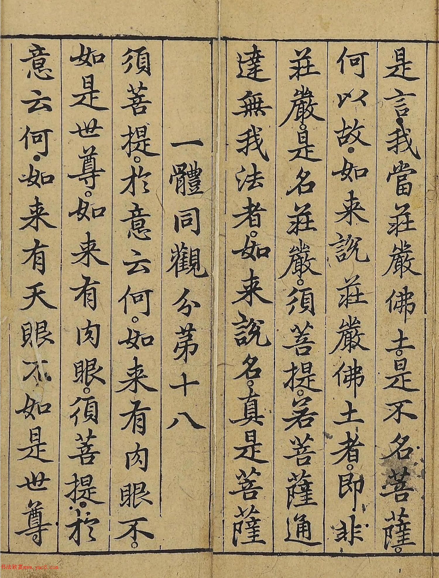 �����\�顶��վ����������걾