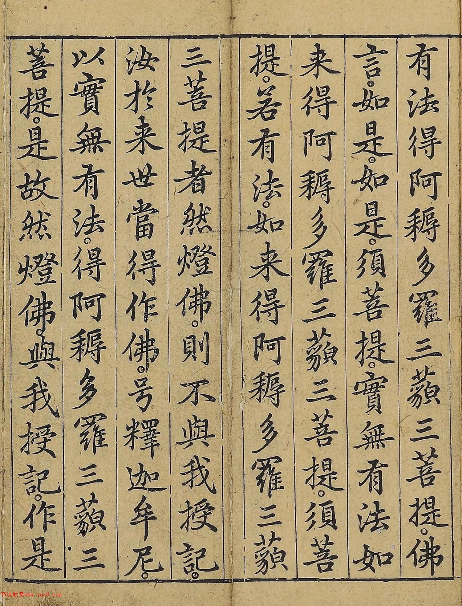 �����\�顶��վ����������걾