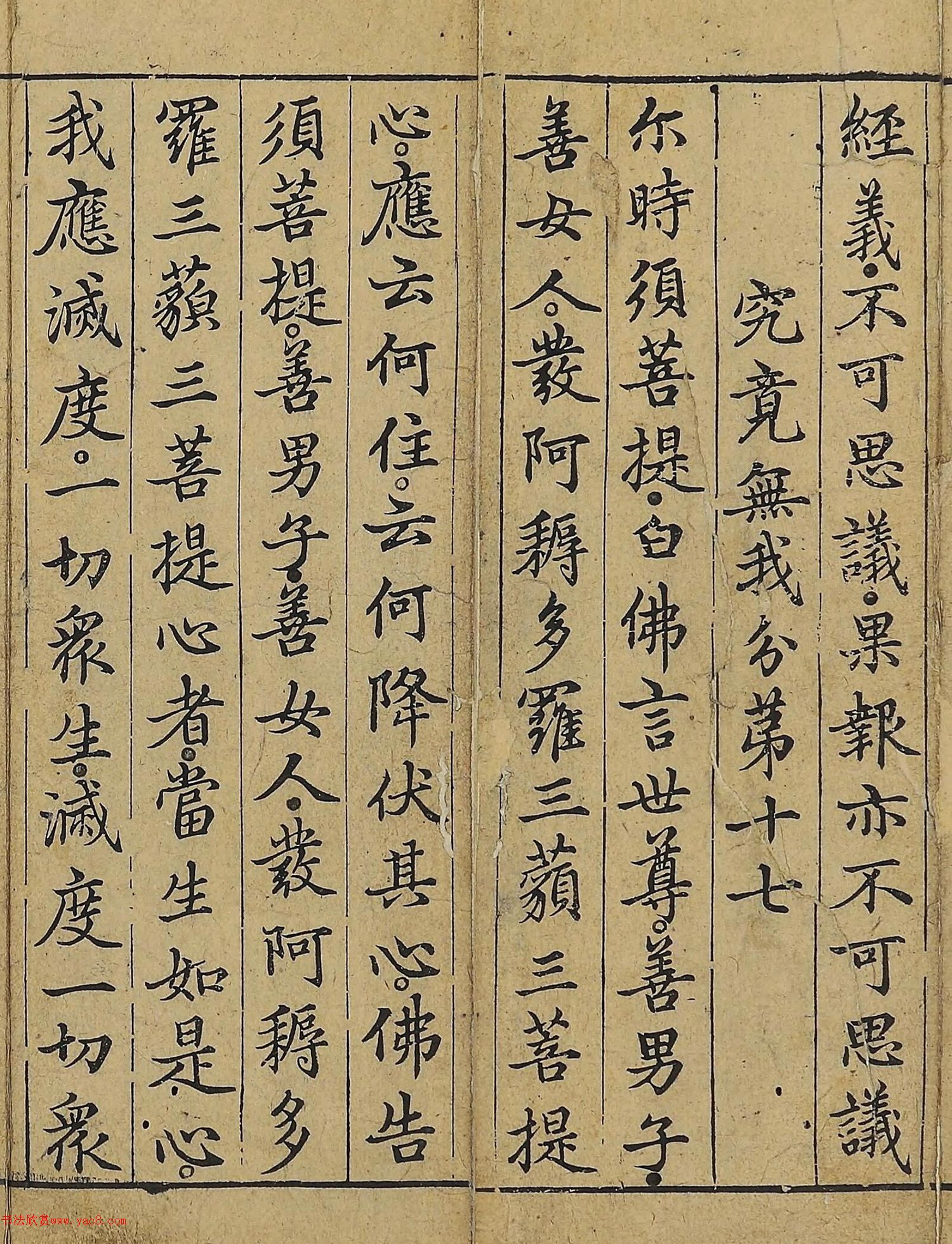 �����\�顶��վ����������걾