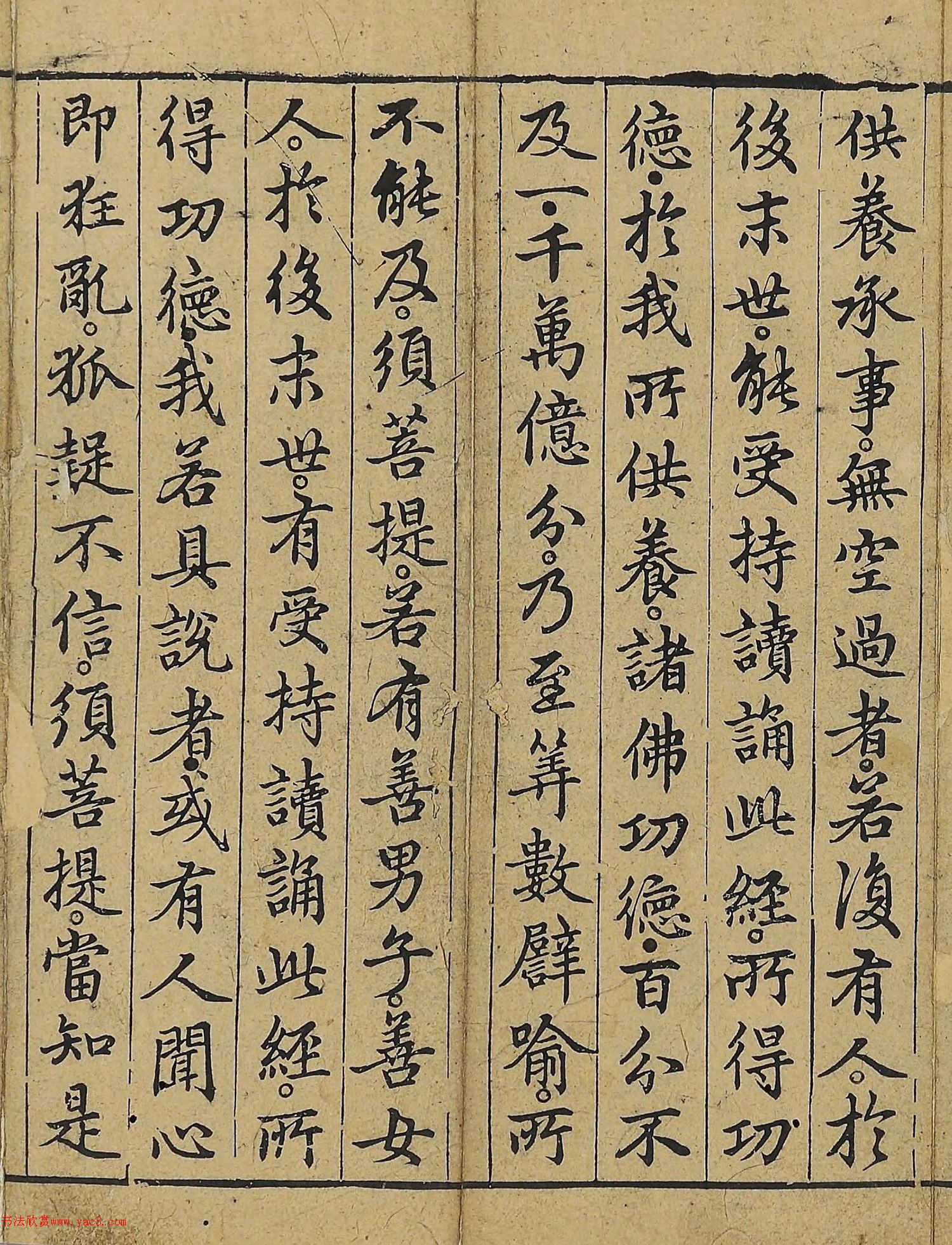 �����\�顶��վ����������걾