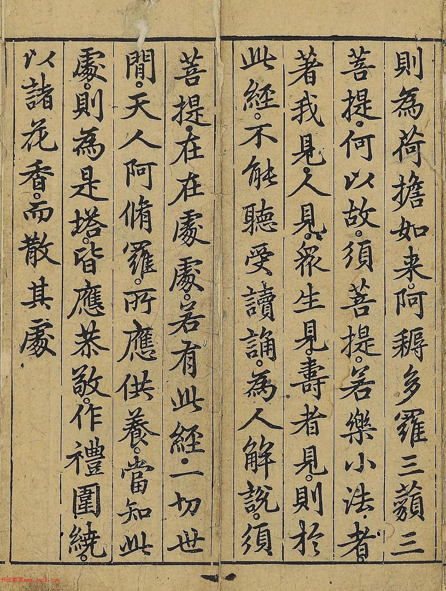 �����\�顶��վ����������걾