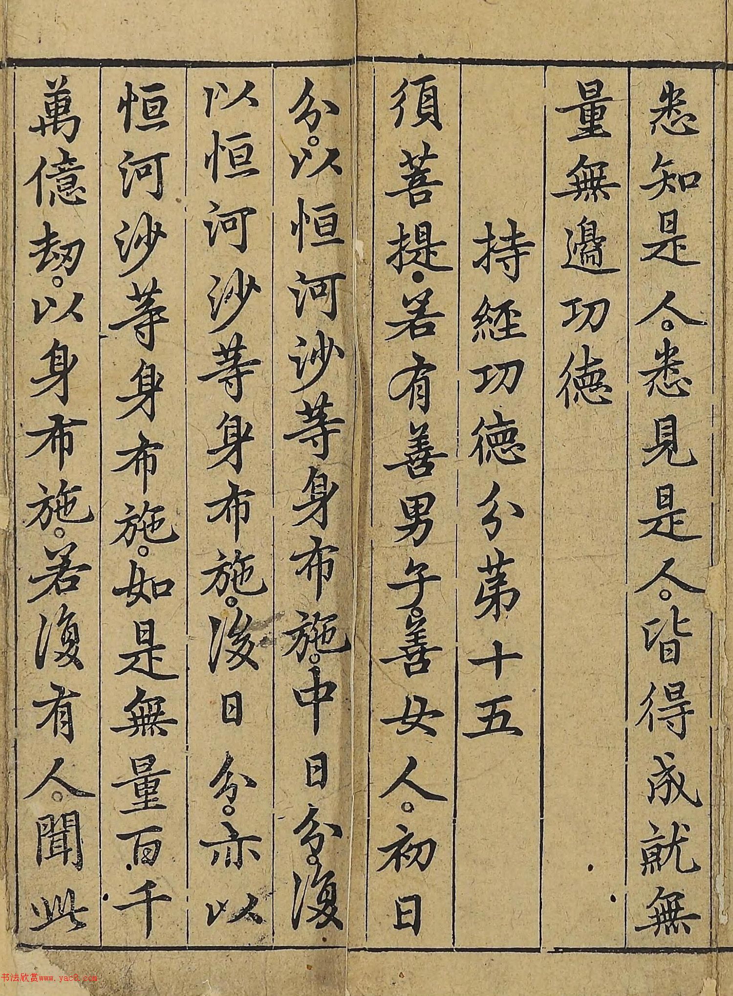 �����\�顶��վ����������걾