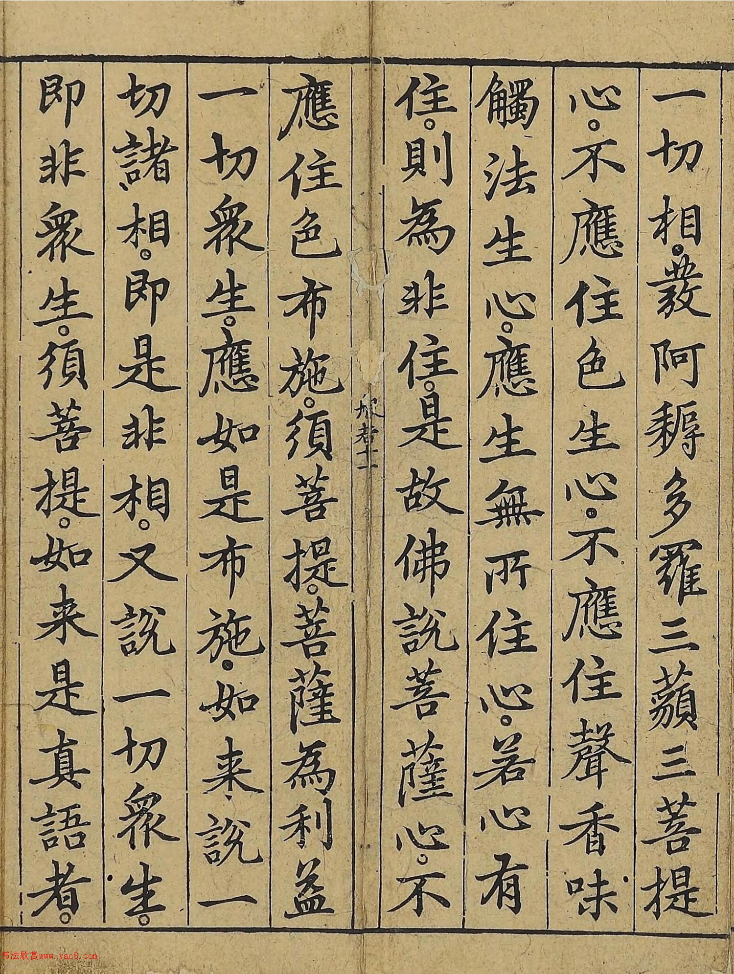 �����\�顶��վ����������걾