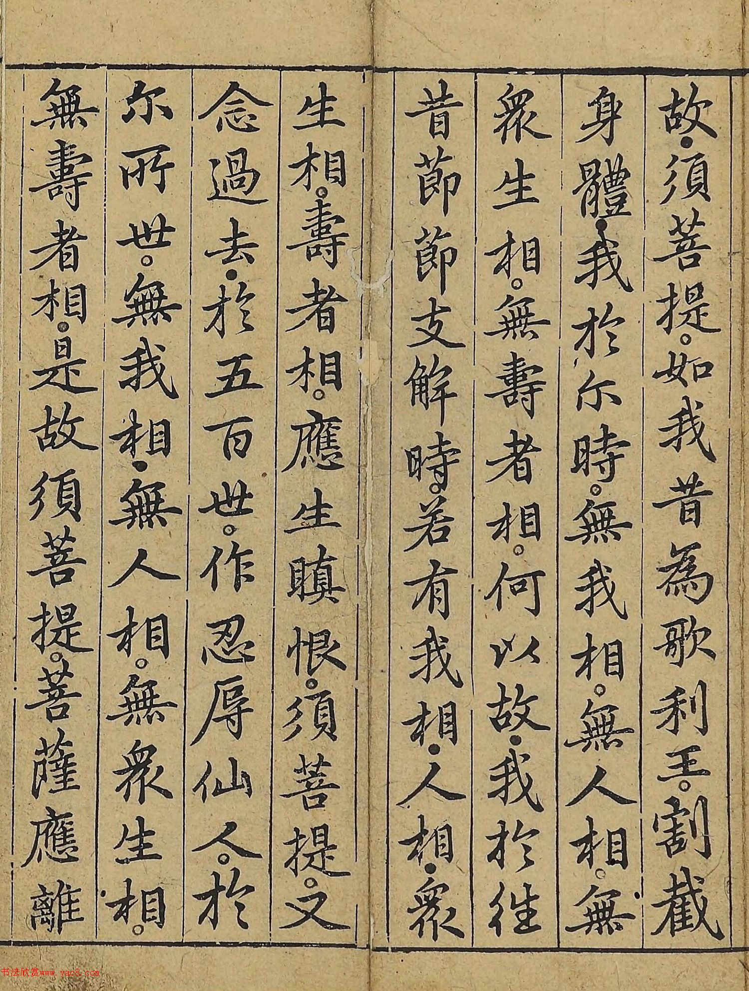 �����\�顶��վ����������걾