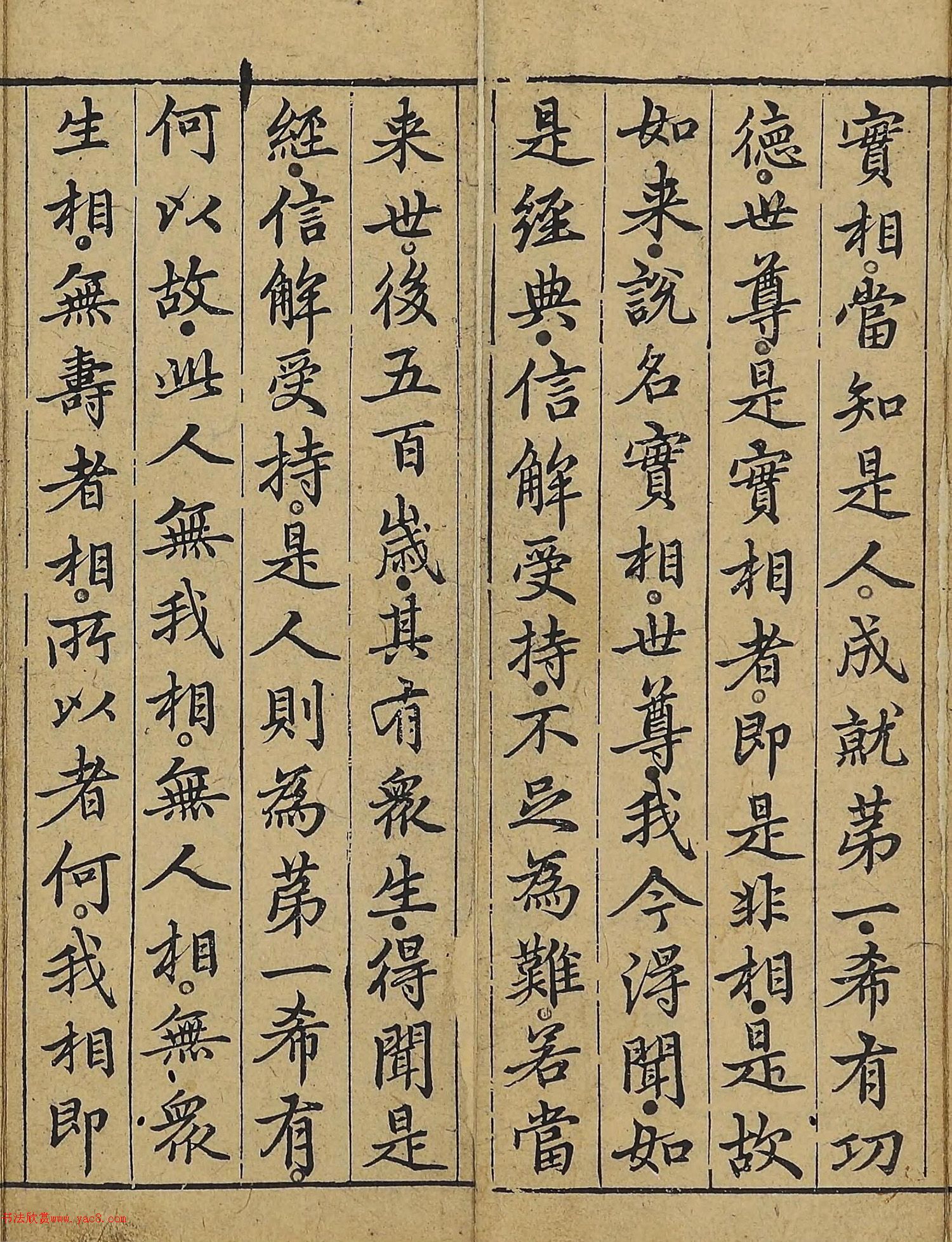 �����\�顶��վ����������걾