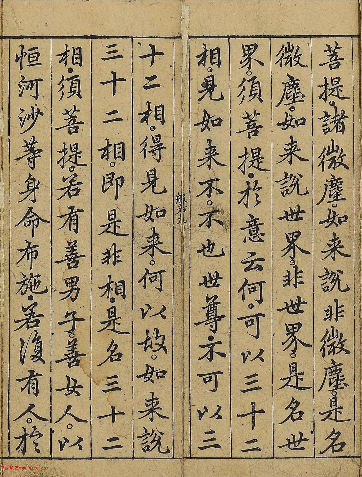 �����\�顶��վ����������걾