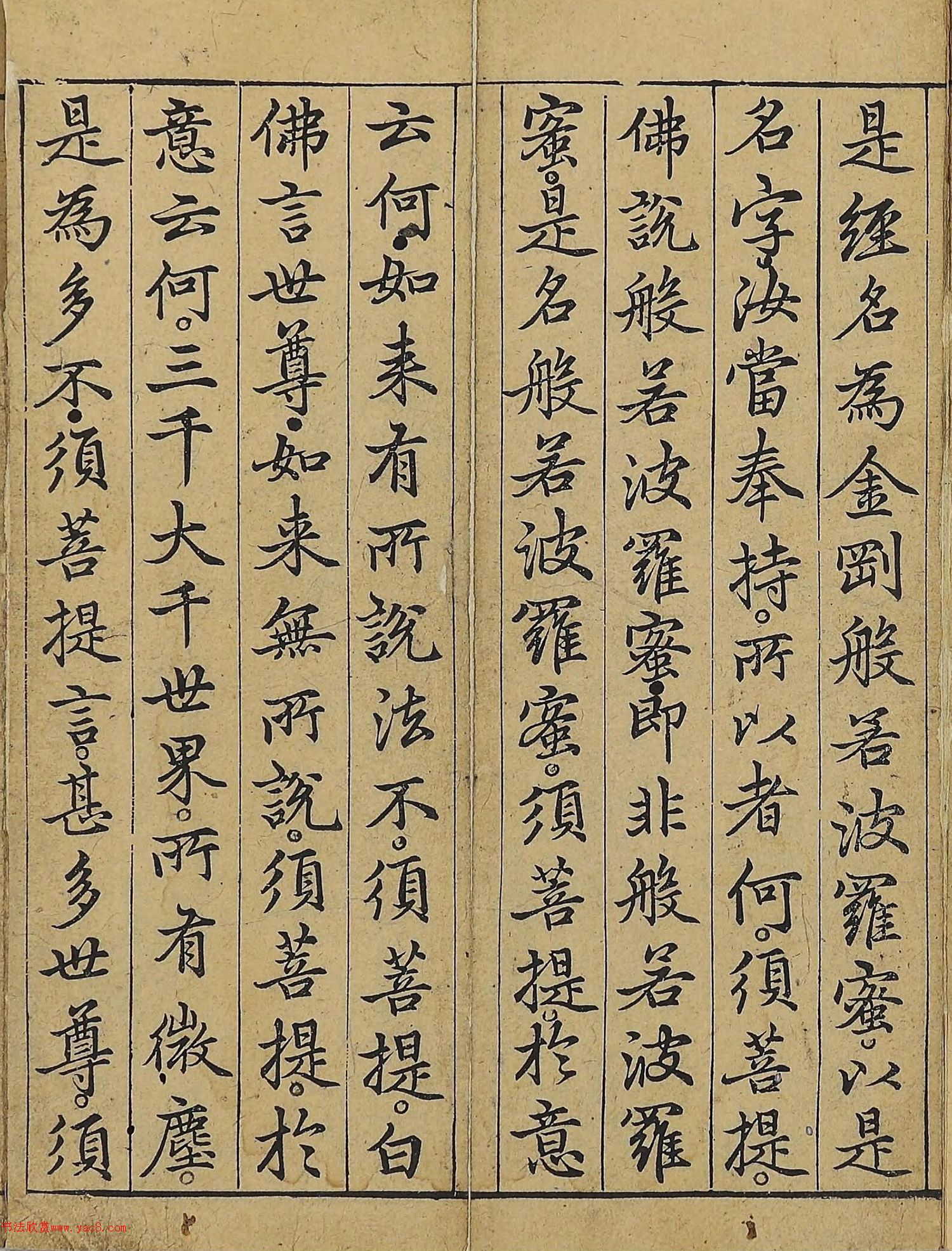 �����\�顶��վ����������걾