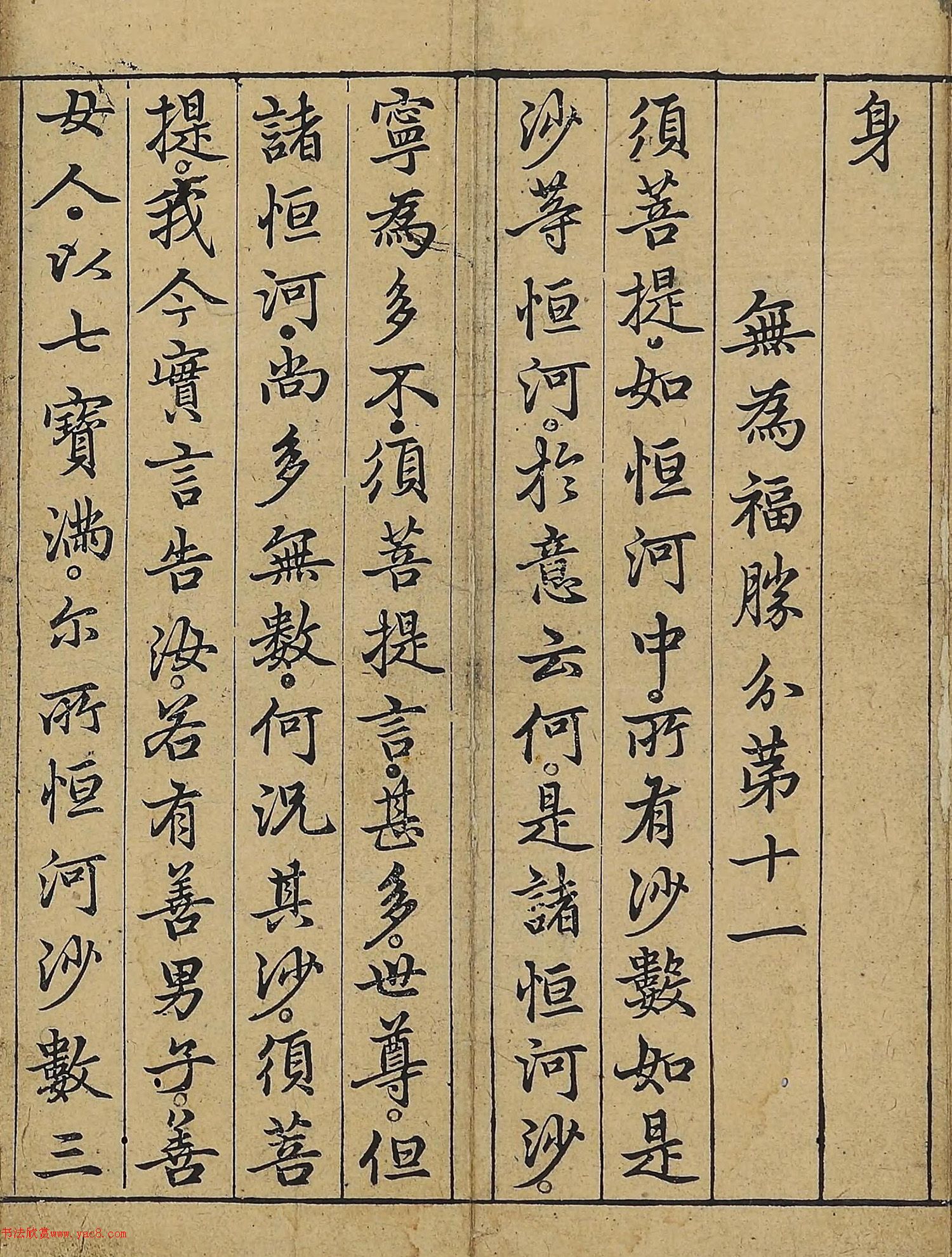 �����\�顶��վ����������걾