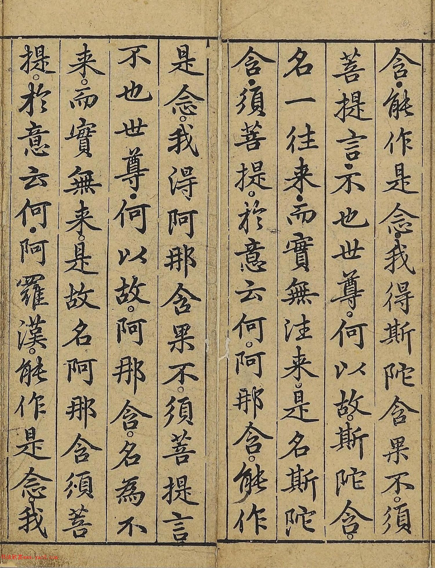 �����\�顶��վ����������걾