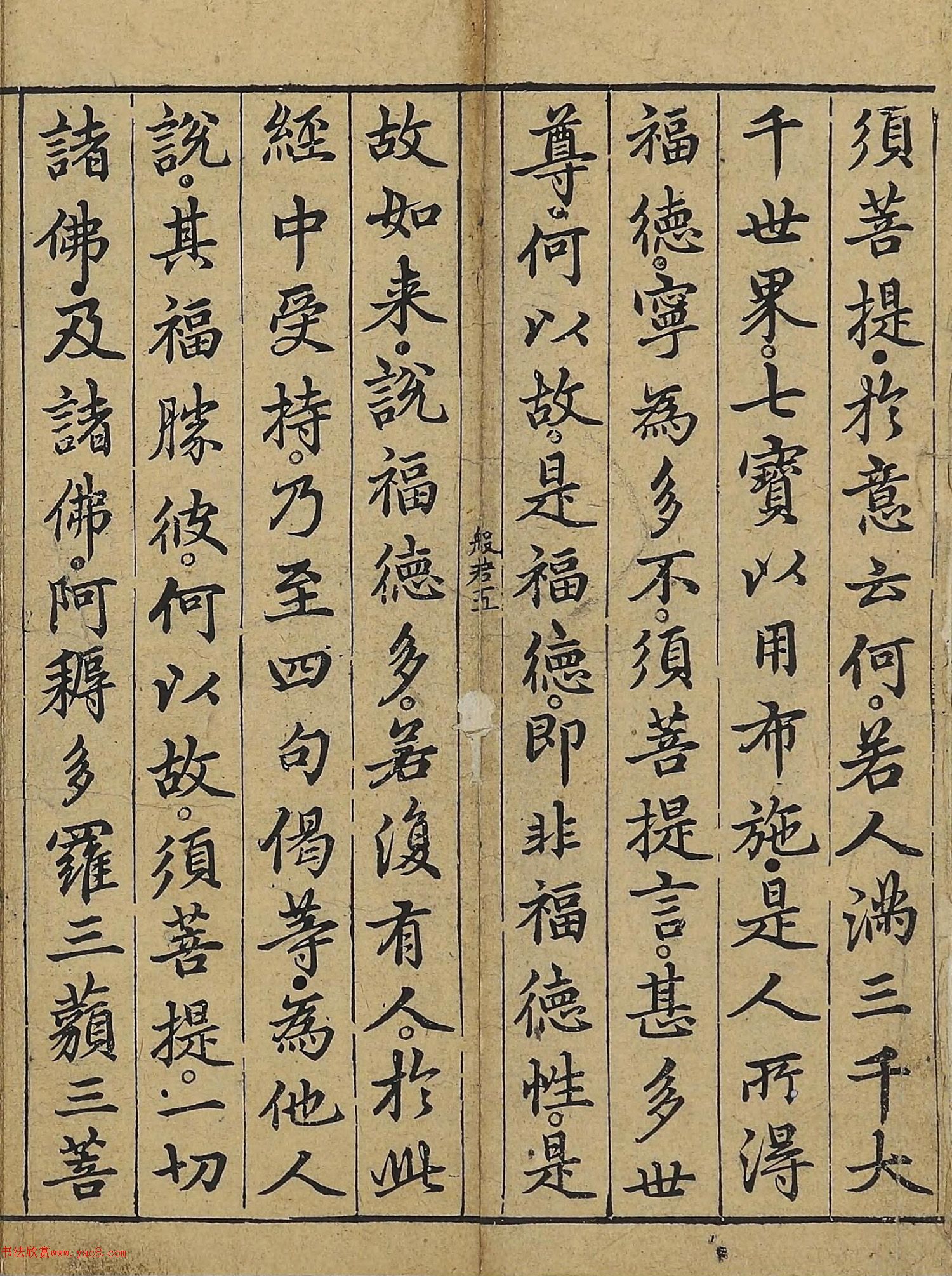 �����\�顶��վ����������걾