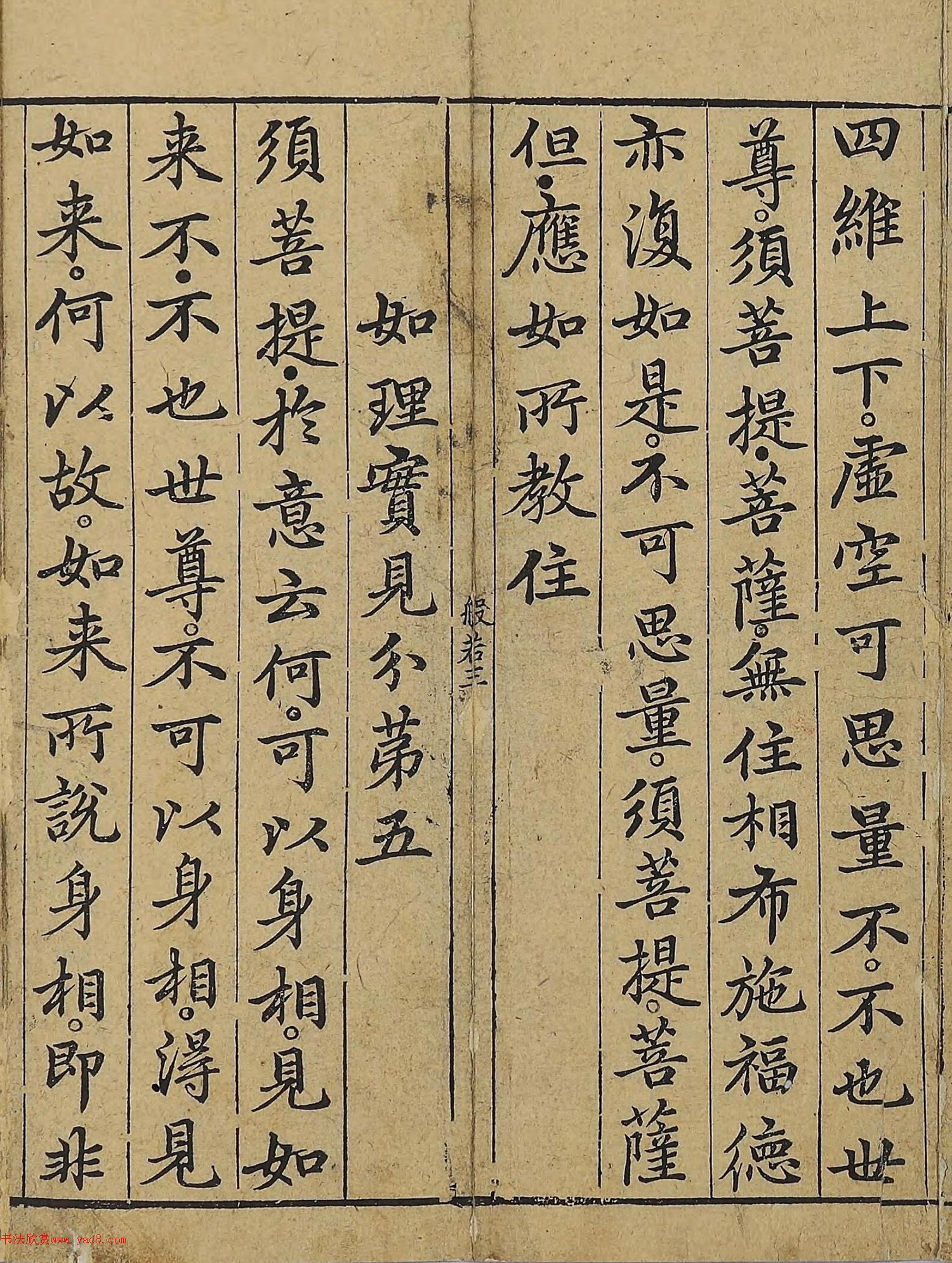 �����\�顶��վ����������걾