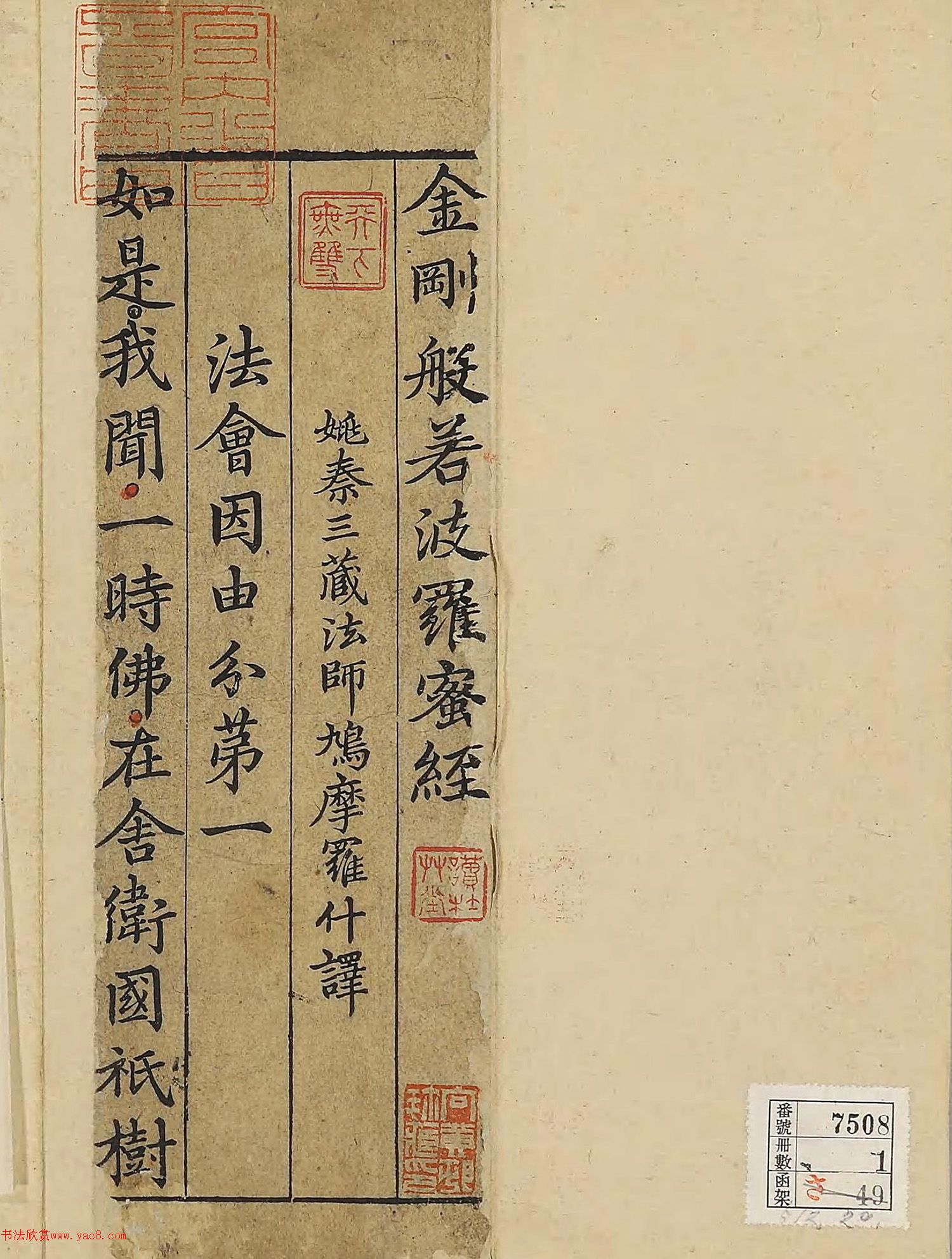 �����\�顶��վ����������걾