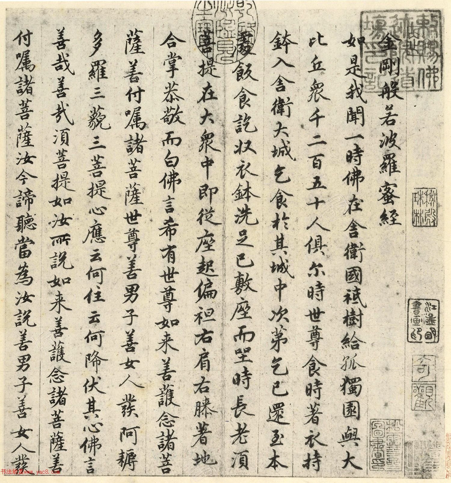 �����\�顶��վ����ӵv���걾