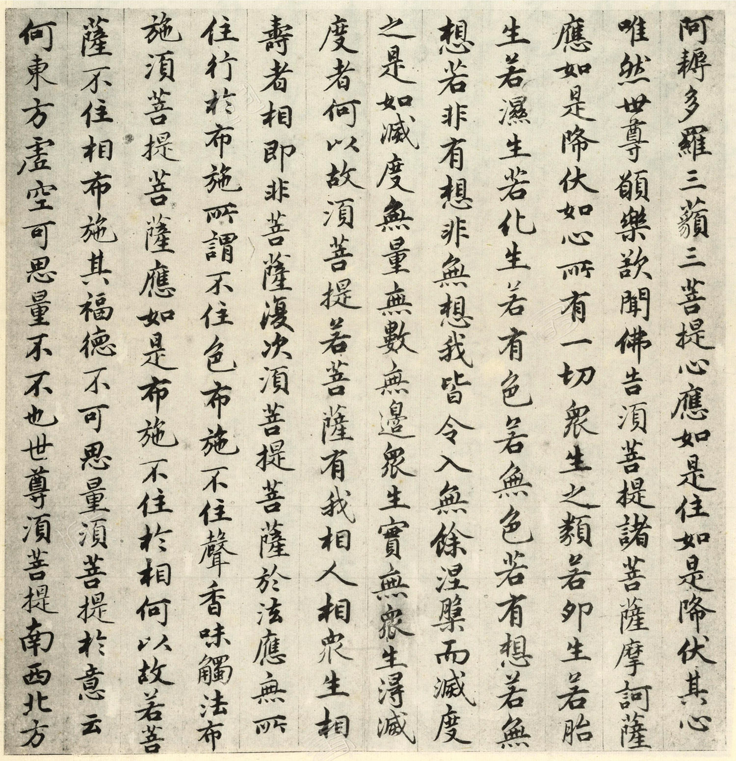 �����\�顶��վ����ӵv���걾