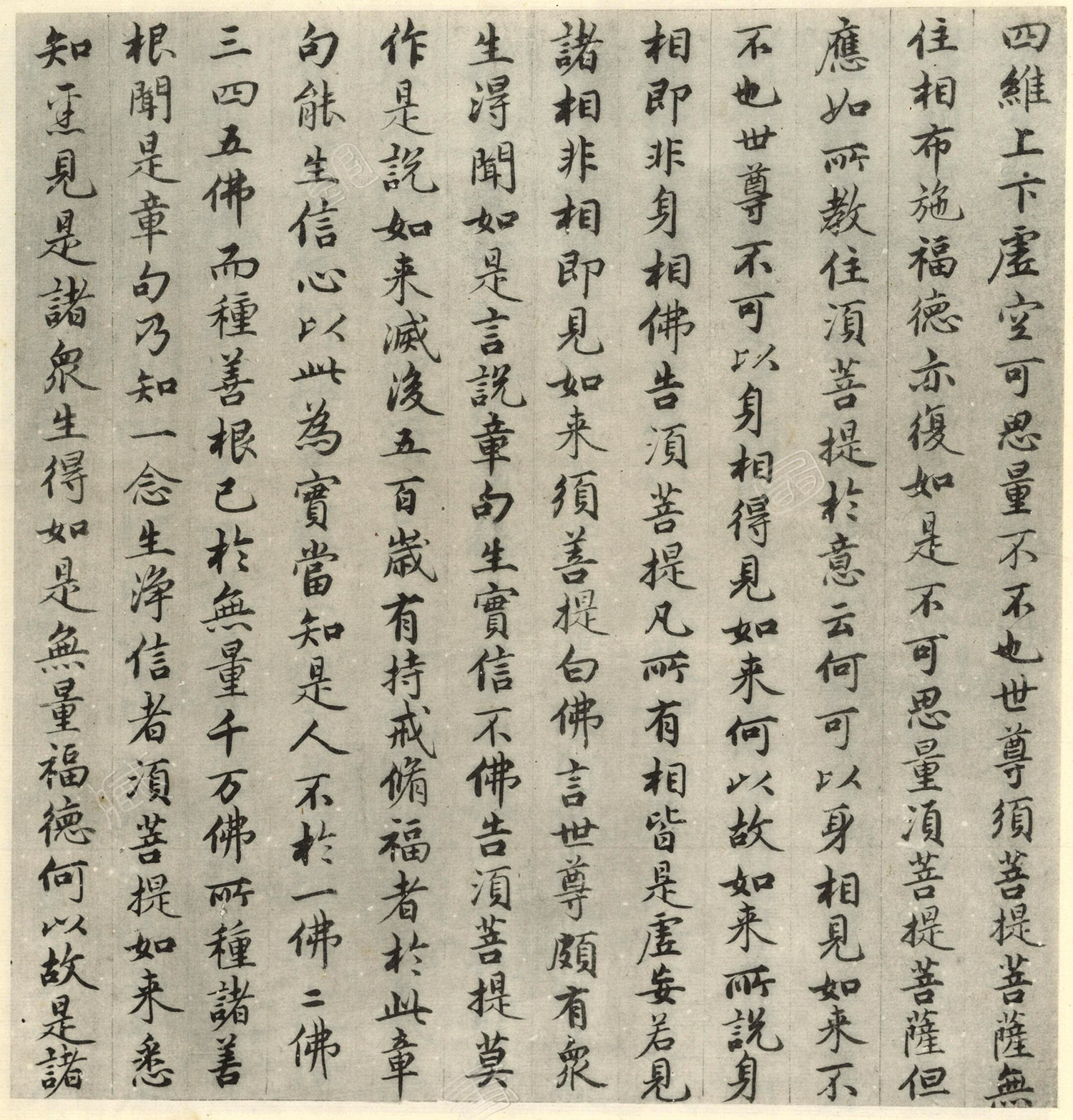 �����\�顶��վ����ӵv���걾