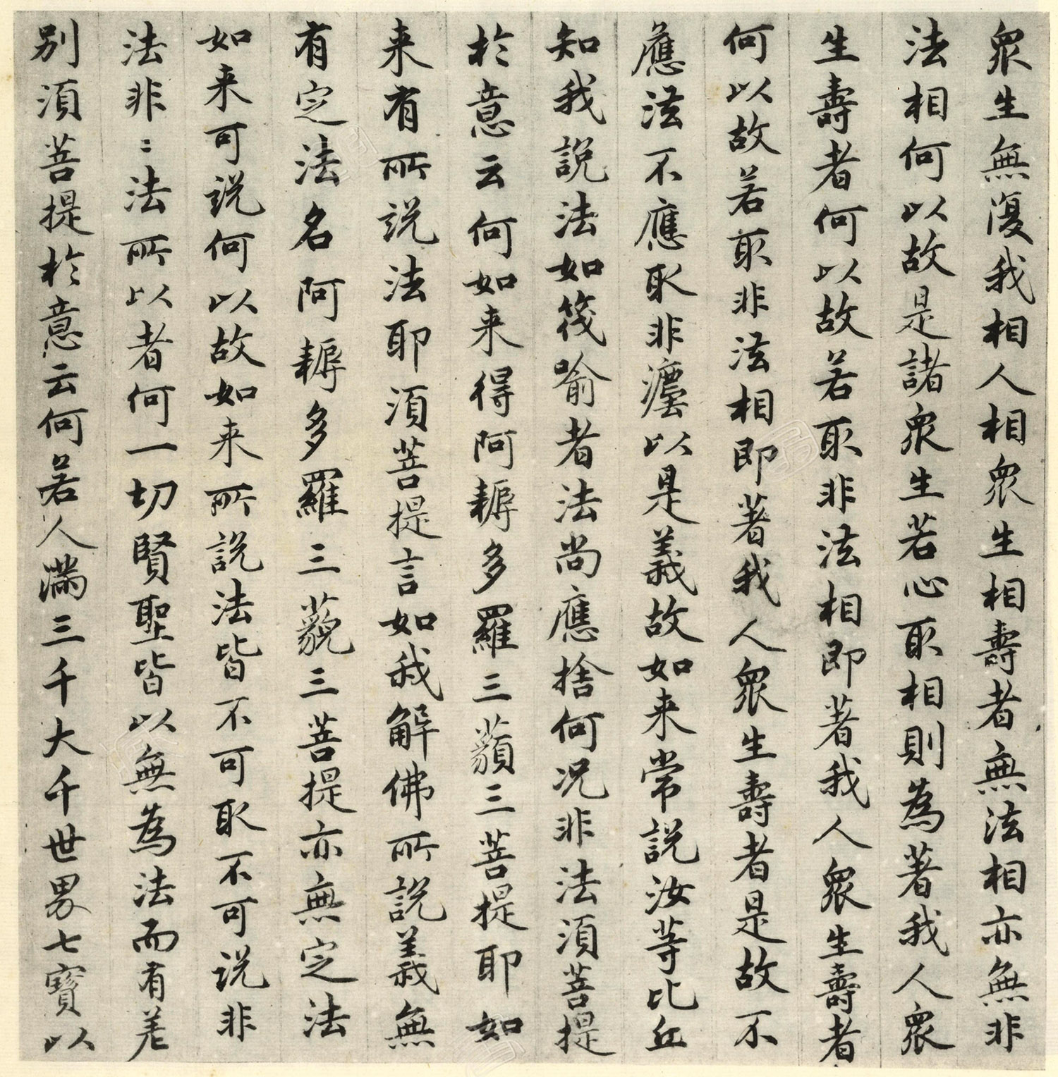 �����\�顶��վ����ӵv���걾