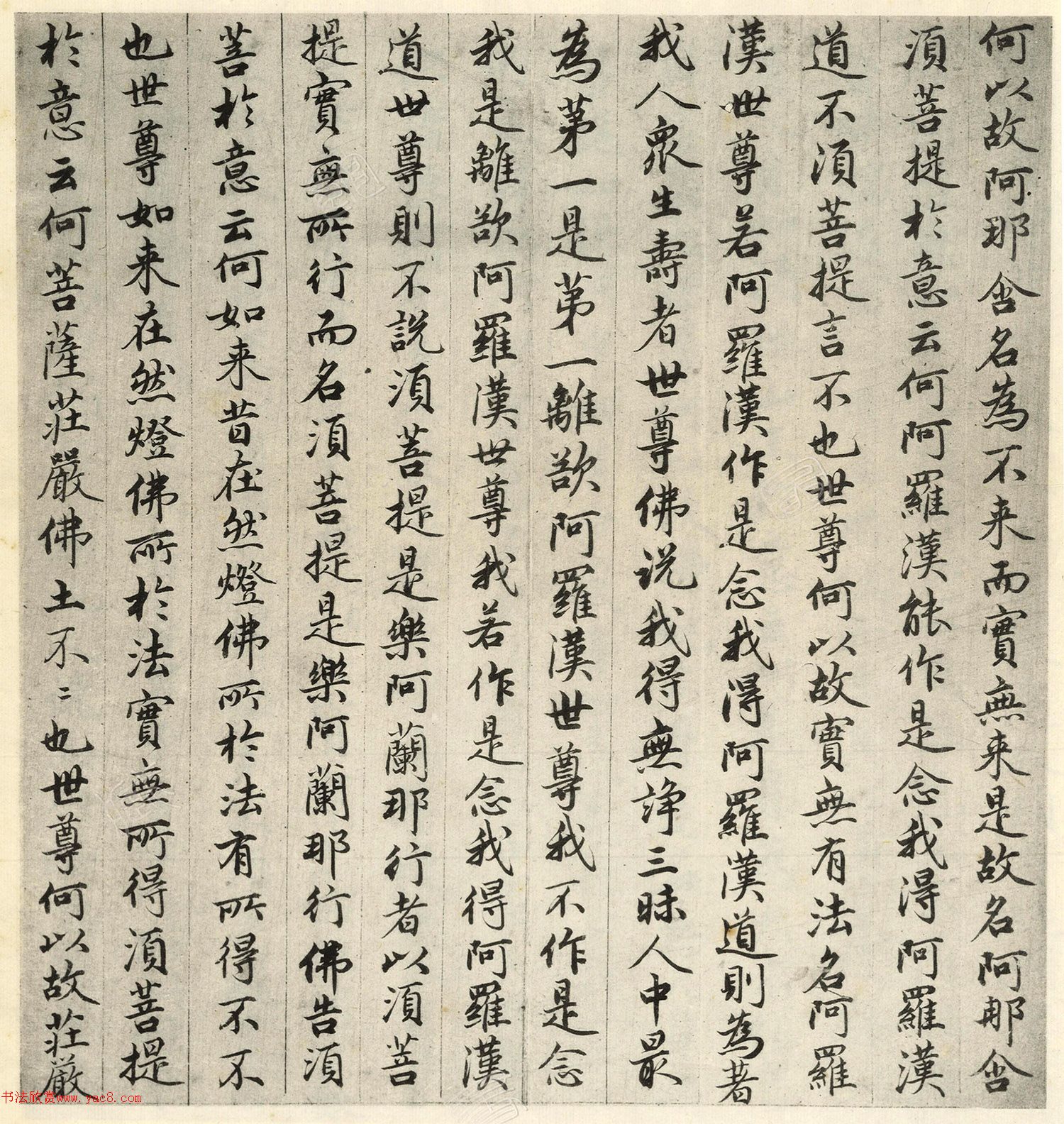 �����\�顶��վ����ӵv���걾