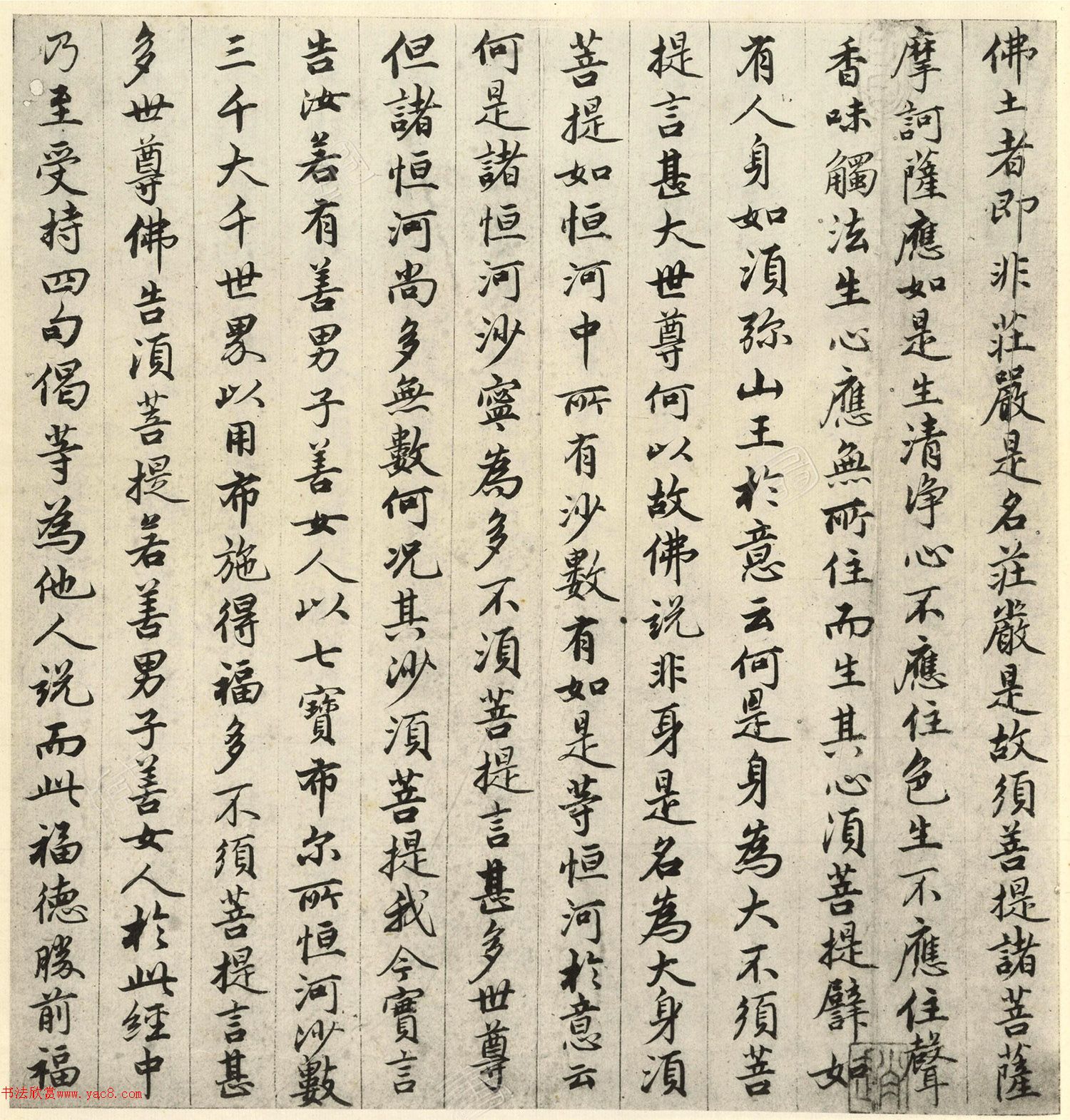 �����\�顶��վ����ӵv���걾