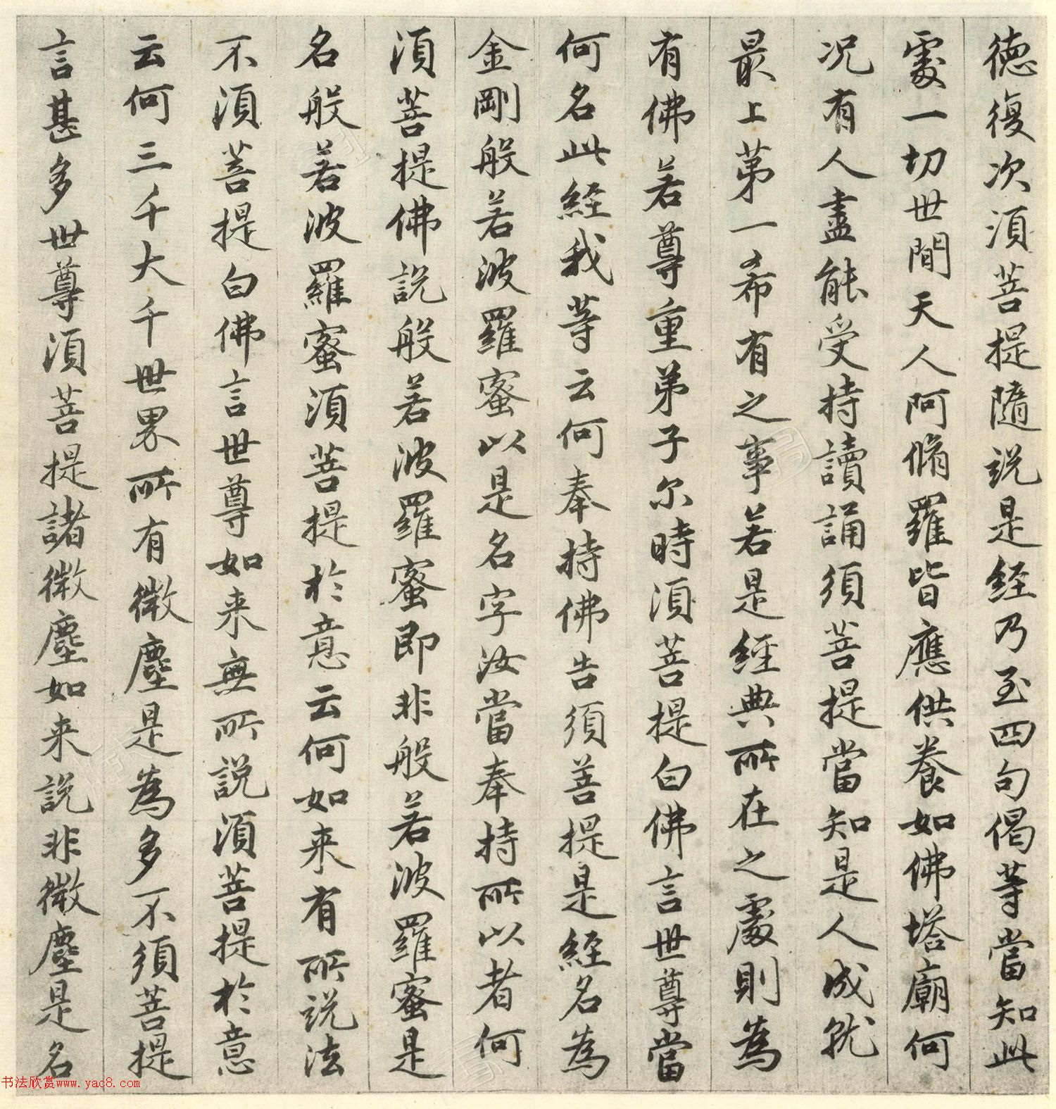 �����\�顶��վ����ӵv���걾