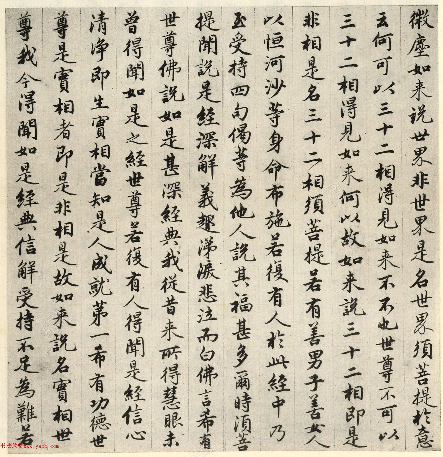 �����\�顶��վ����ӵv���걾