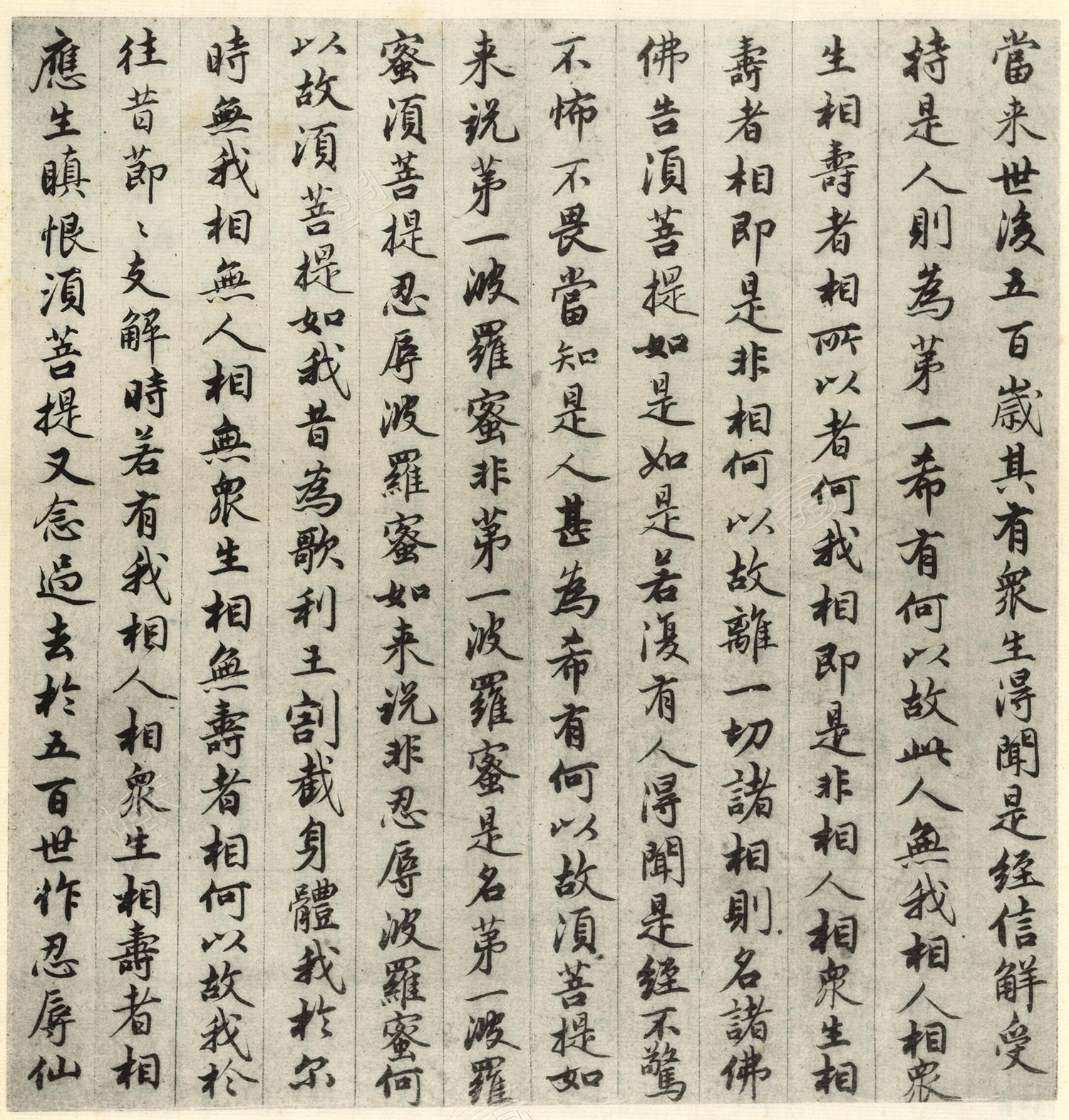 �����\�顶��վ����ӵv���걾