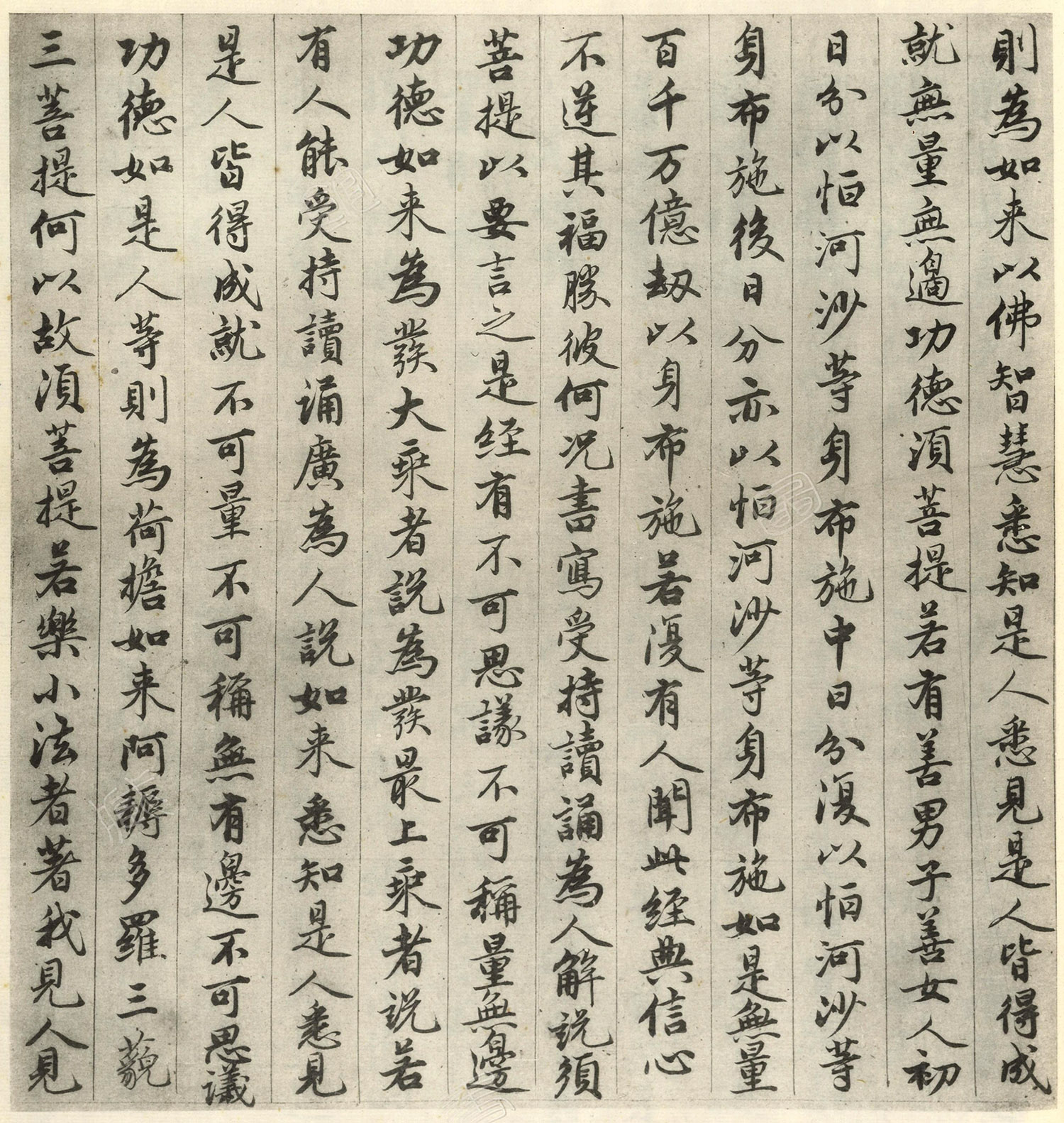 �����\�顶��վ����ӵv���걾