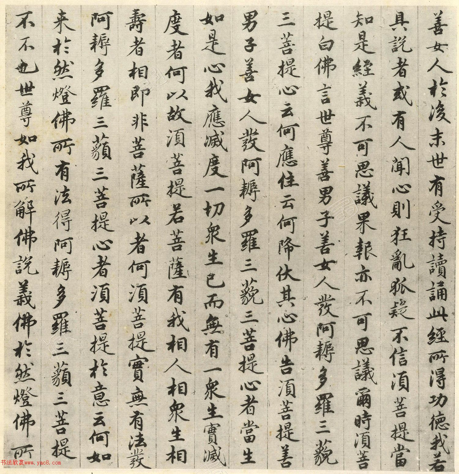 �����\�顶��վ����ӵv���걾