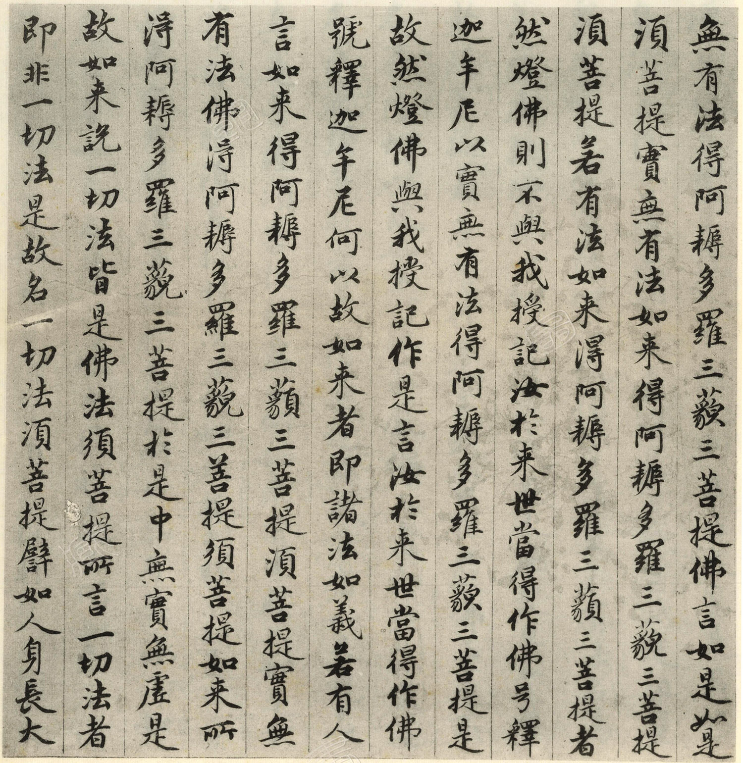 �����\�顶��վ����ӵv���걾