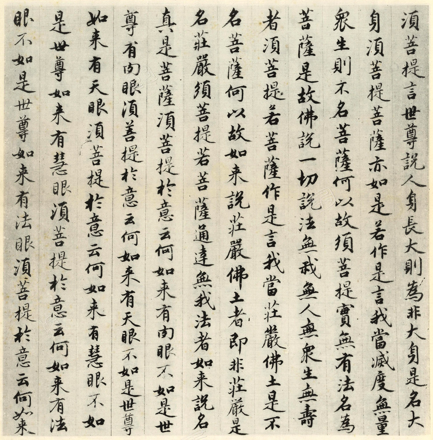 �����\�顶��վ����ӵv���걾