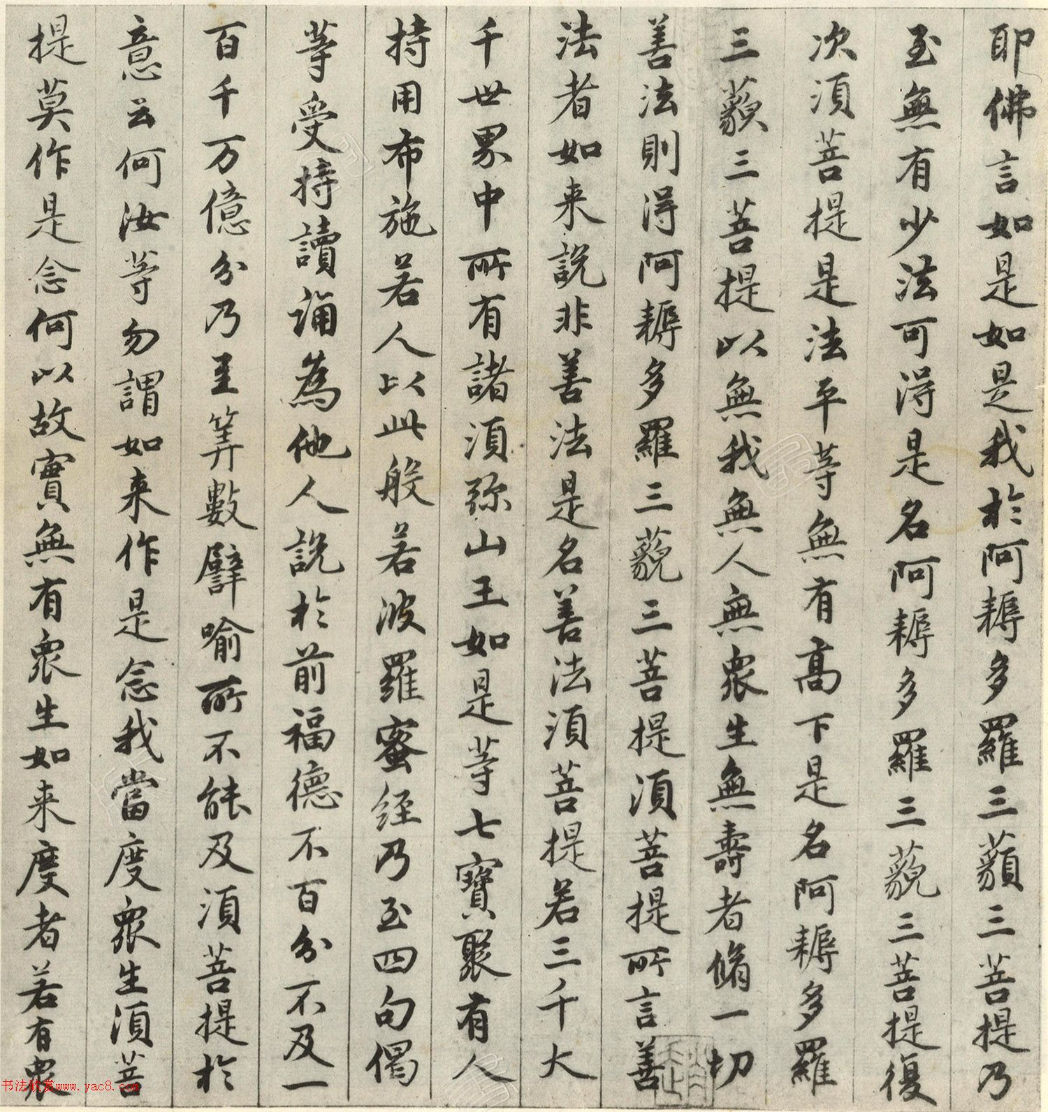 �����\�顶��վ����ӵv���걾