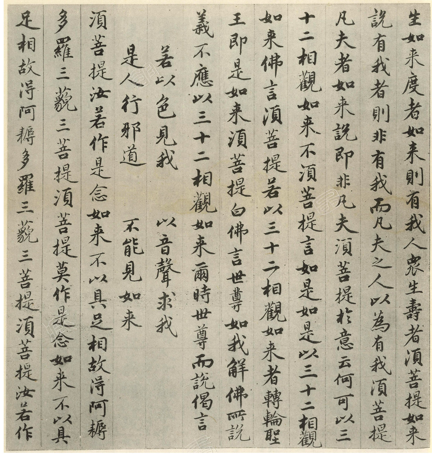 �����\�顶��վ����ӵv���걾