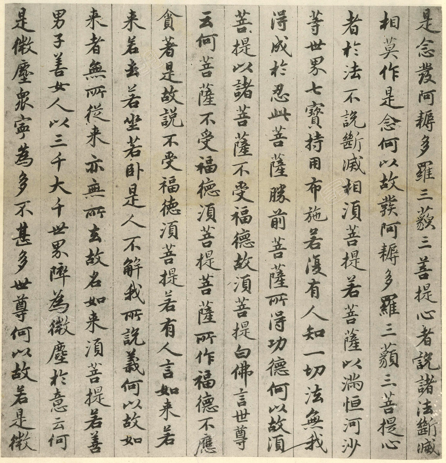 �����\�顶��վ����ӵv���걾