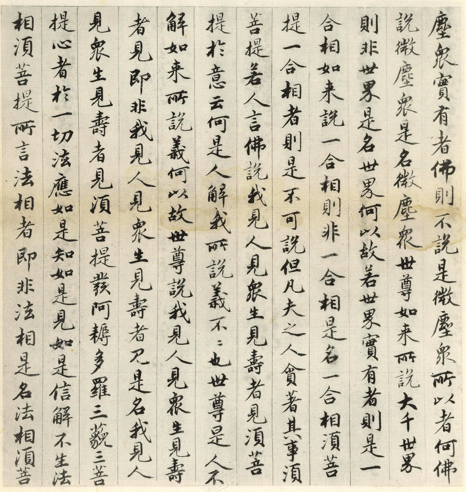 �����\�顶��վ����ӵv���걾