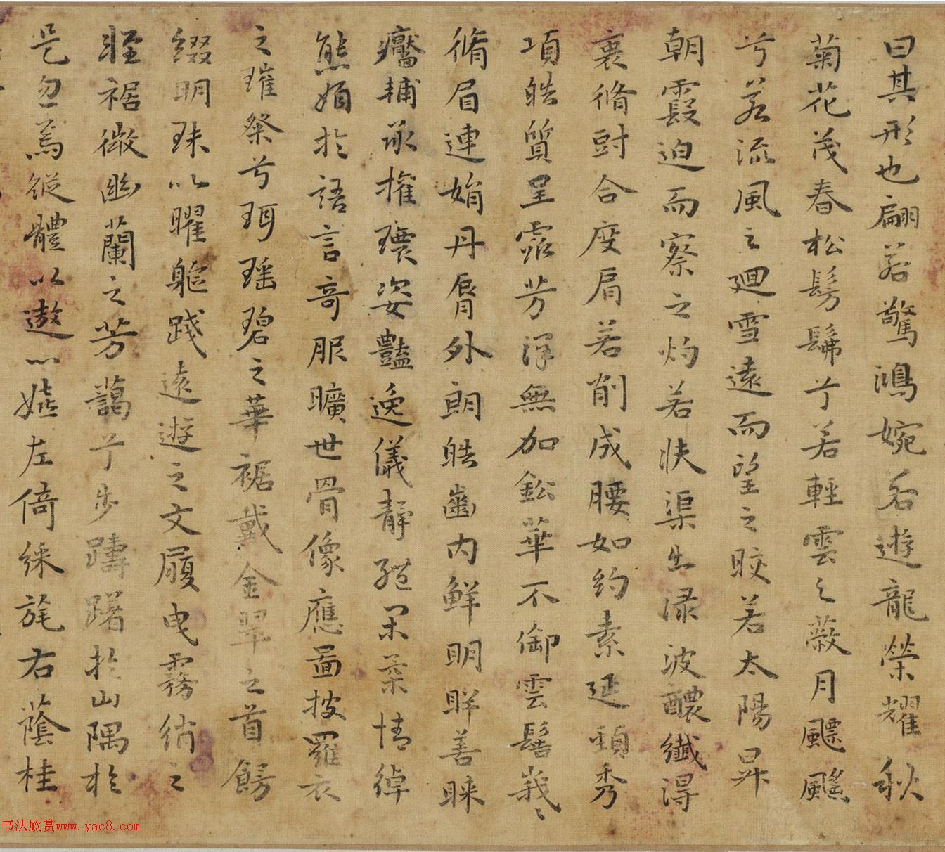 (��)ף��������ͤ�����񸳾�