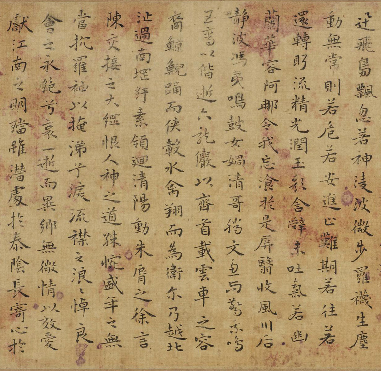 (��)ף��������ͤ�����񸳾�