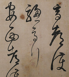 �������߶��������о����ɲ�����