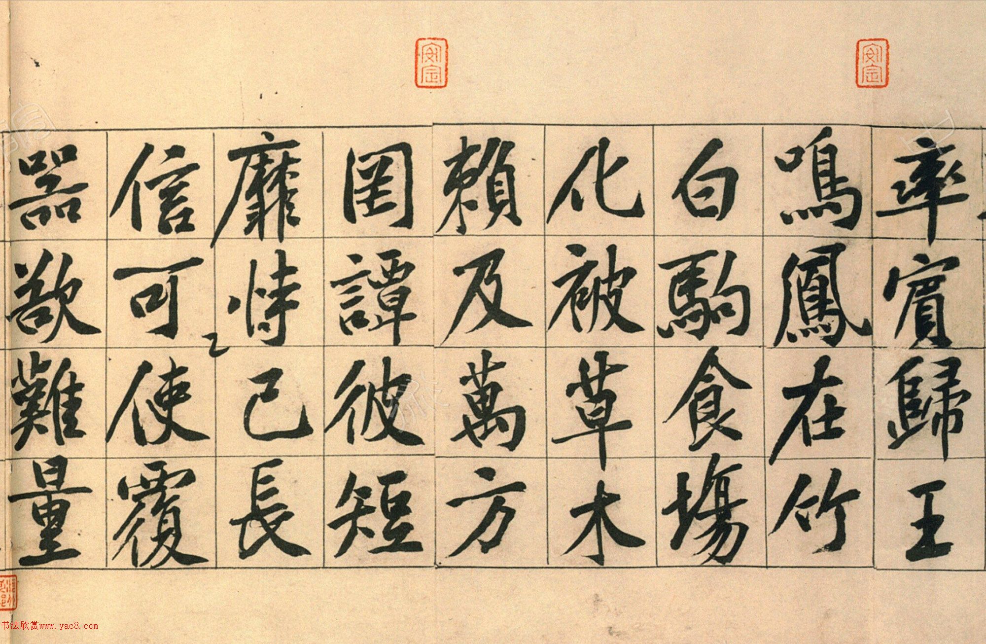 ��ͥ�ἦë�����п�ǧ���ģ�����