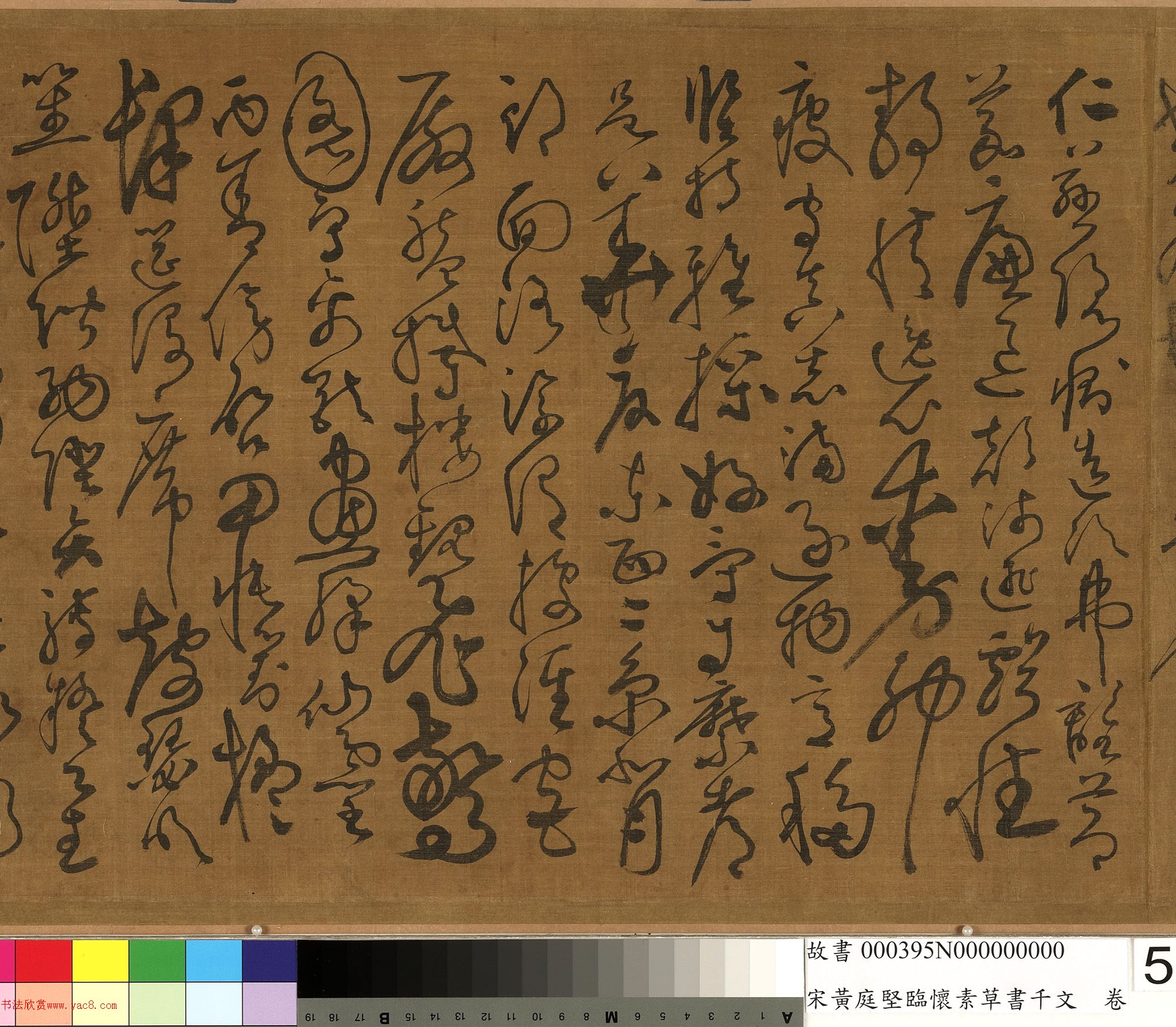 ��ͥ���ٻ��ز���ǧ���ľ�