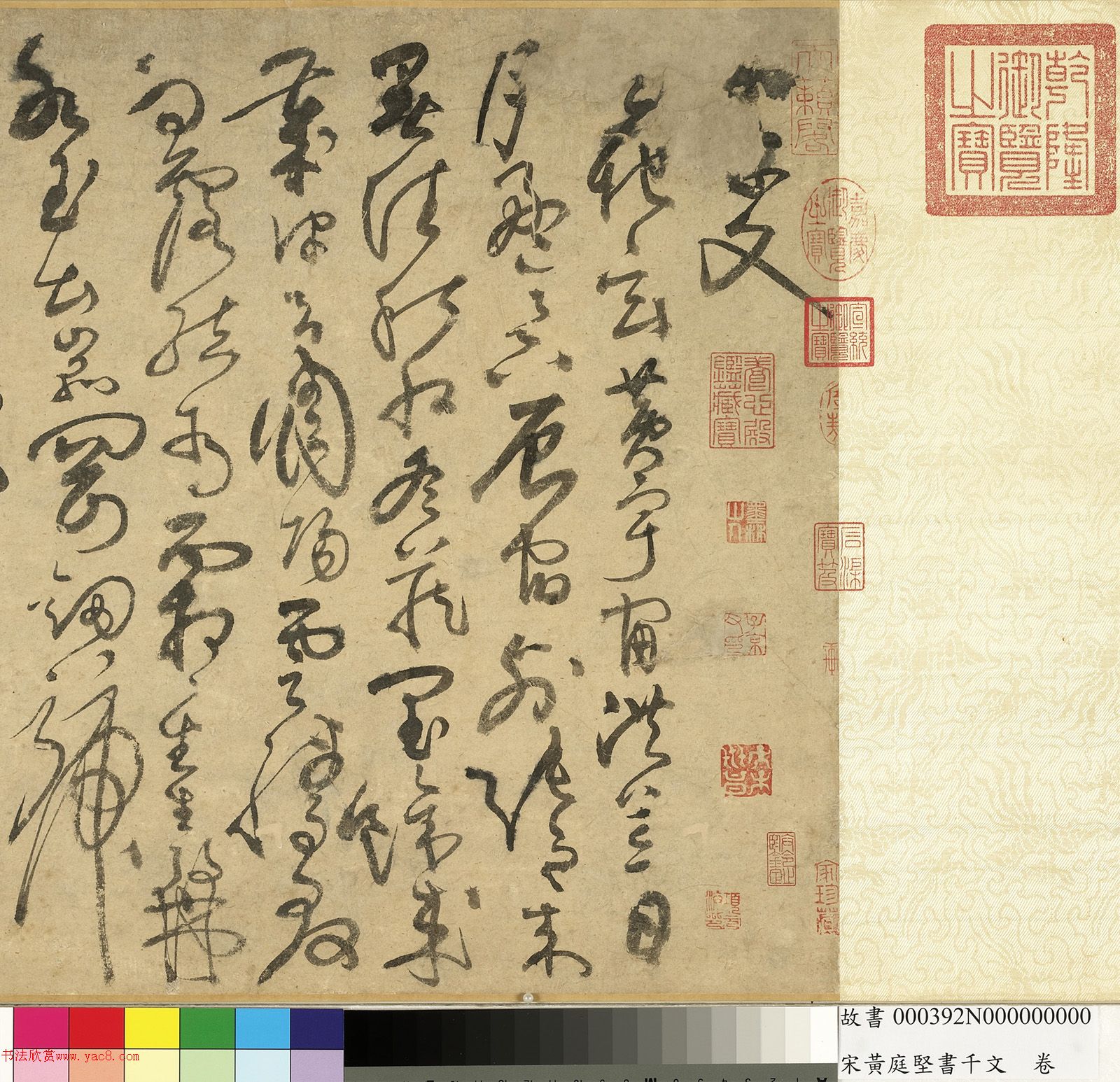 ��ͥ�����ǧ���ľ�