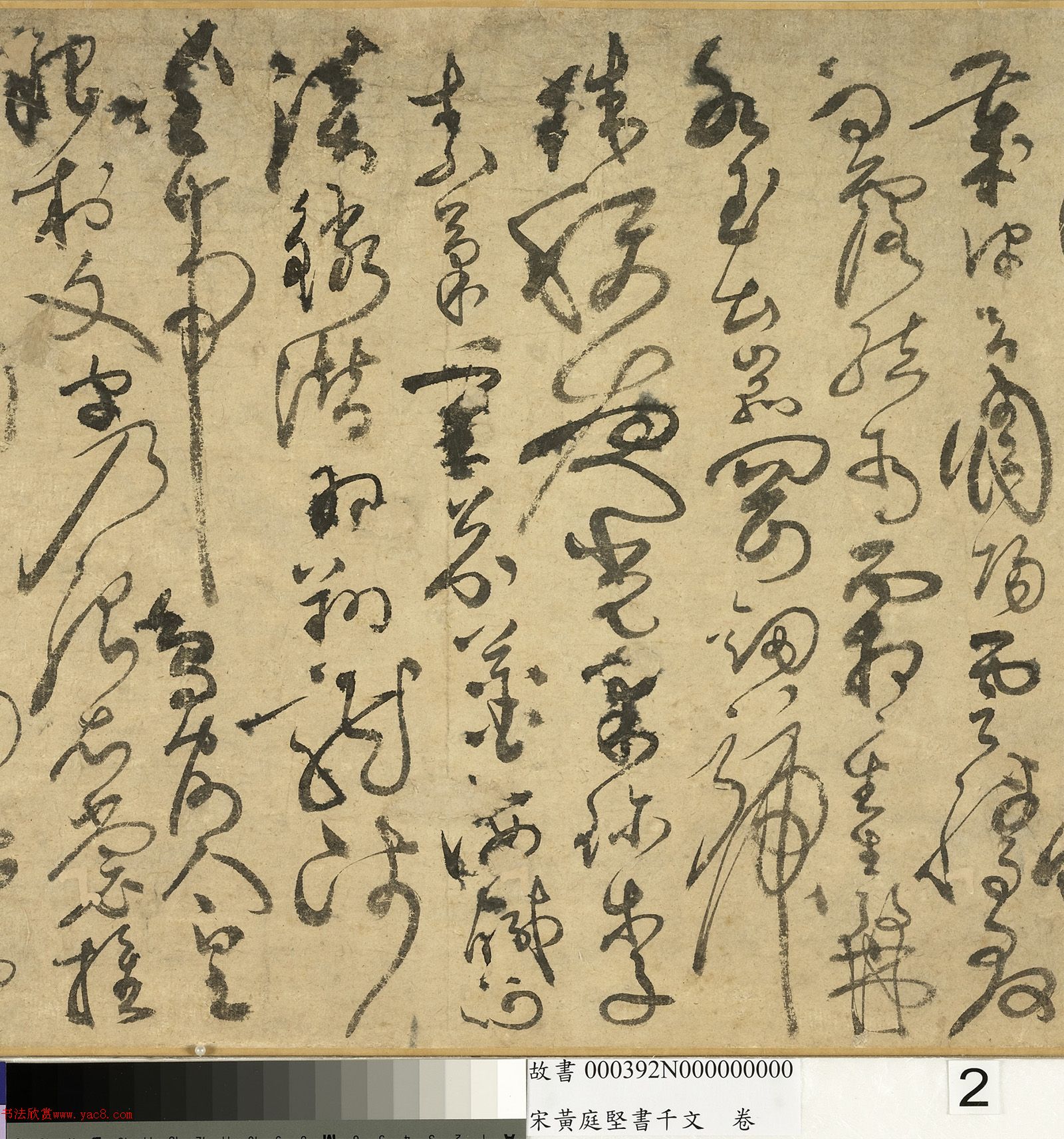 ��ͥ�����ǧ���ľ�