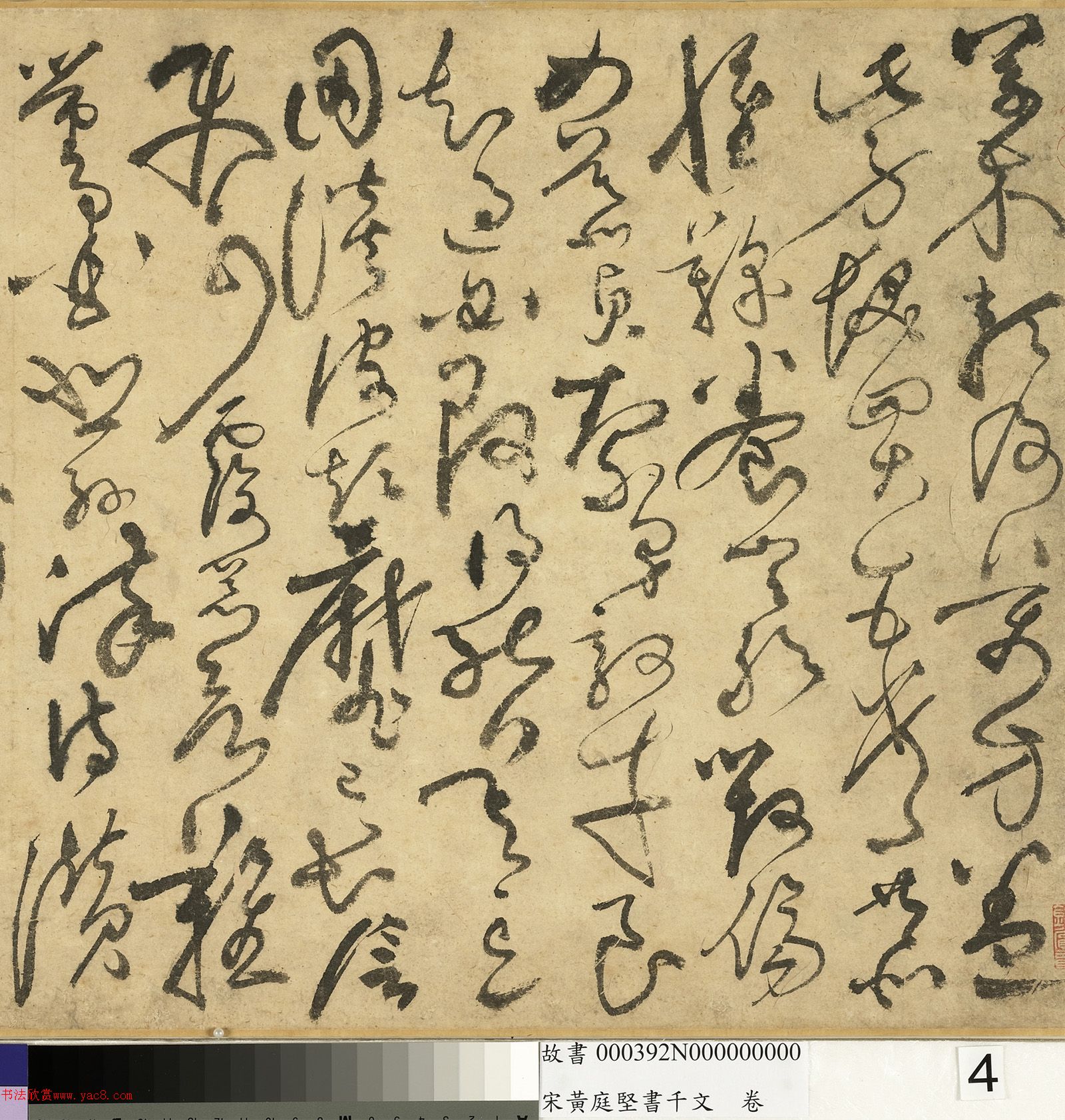 ��ͥ�����ǧ���ľ�