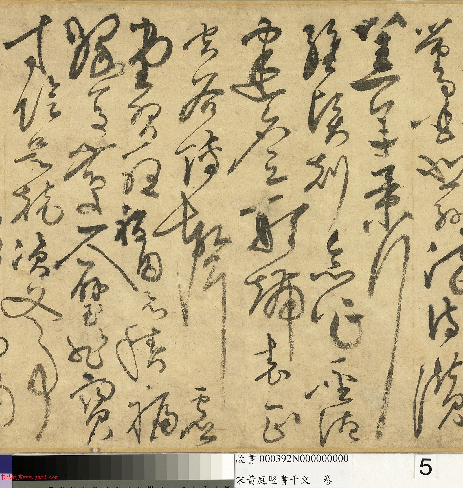 ��ͥ�����ǧ���ľ�