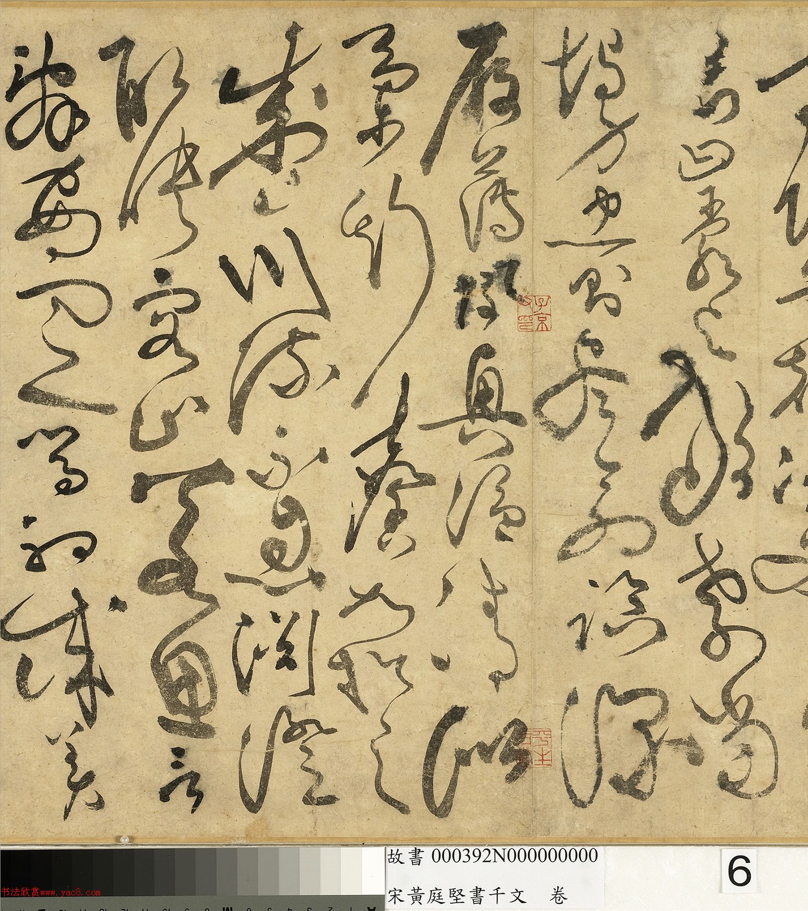 ��ͥ�����ǧ���ľ�